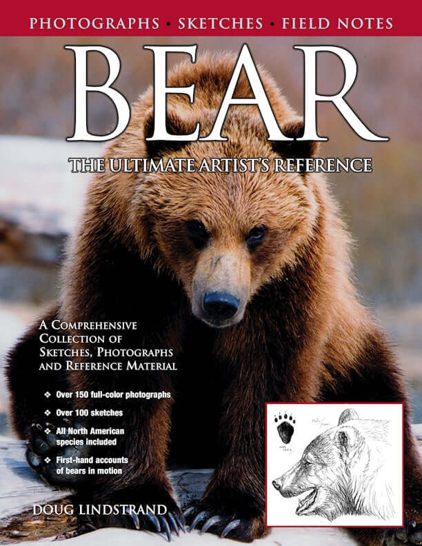 Bear: The Ultimate Artists Reference