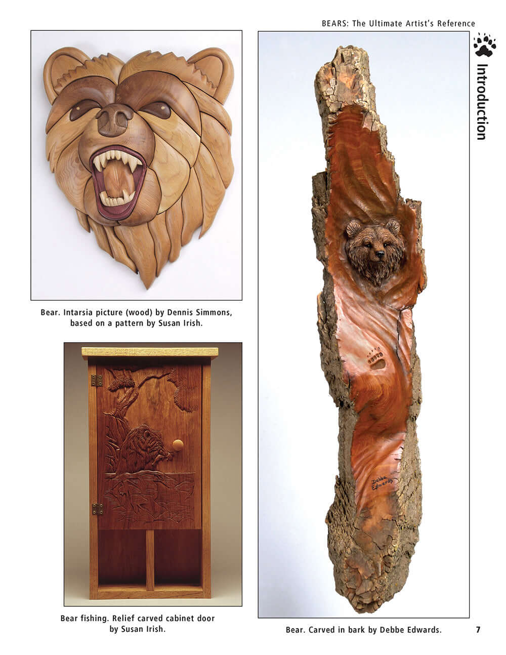 Bear: The Ultimate Artists Reference