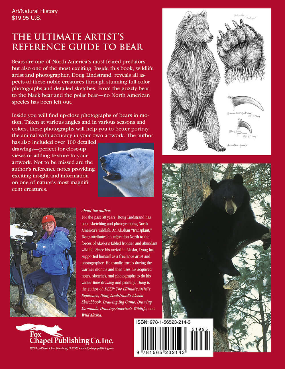 Bear: The Ultimate Artists Reference