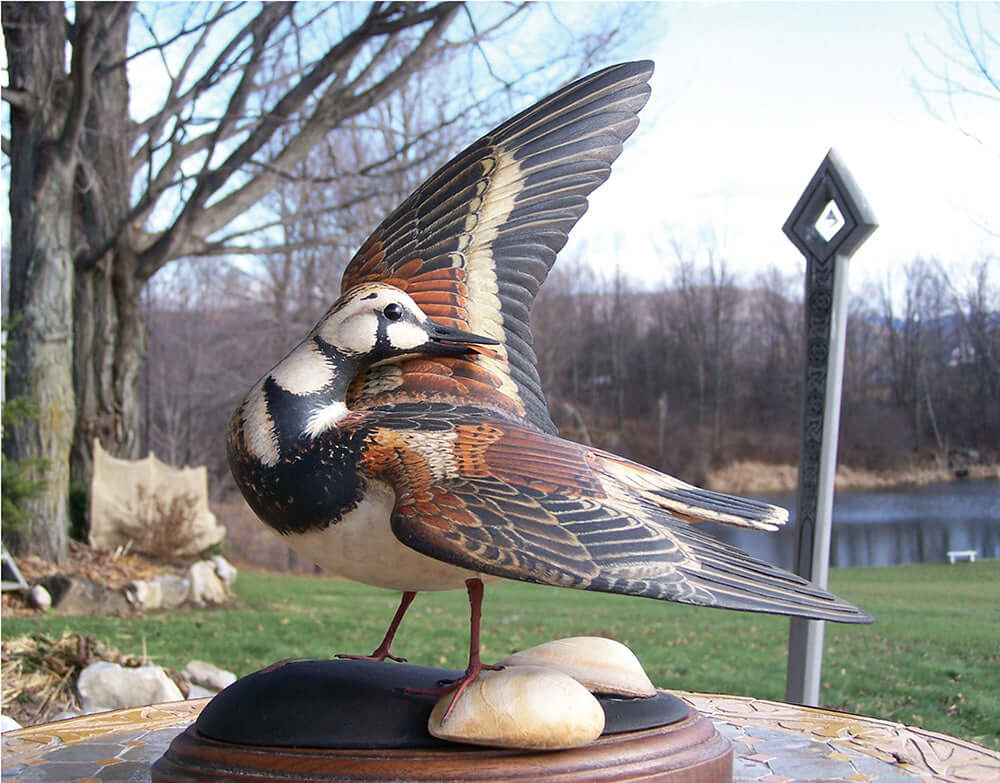 Decoys