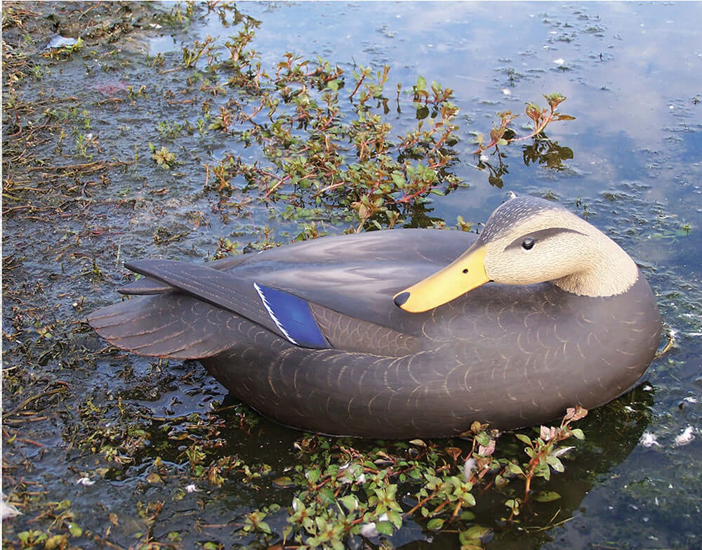 Decoys