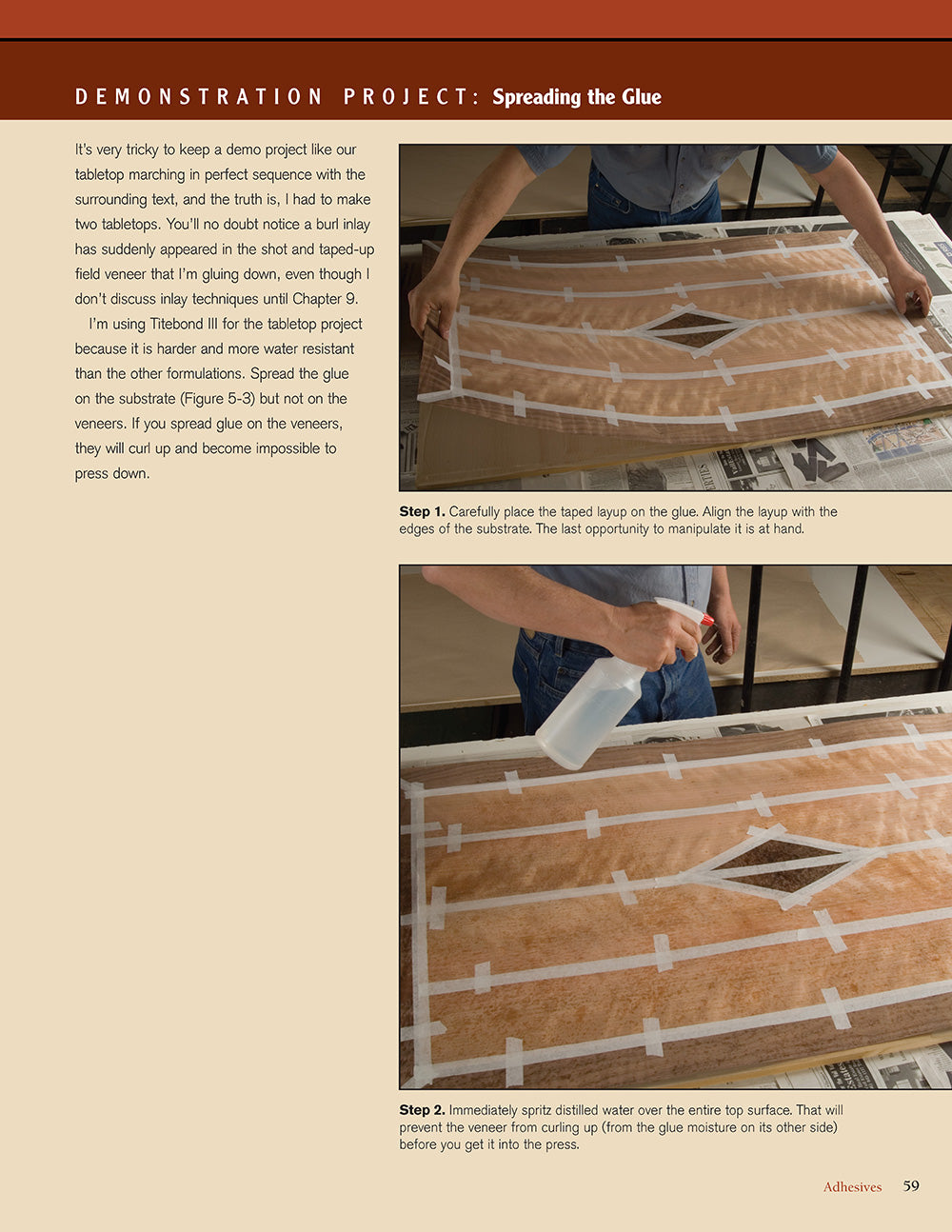 Woodworkers Guide to Veneering & Inlay (SC)