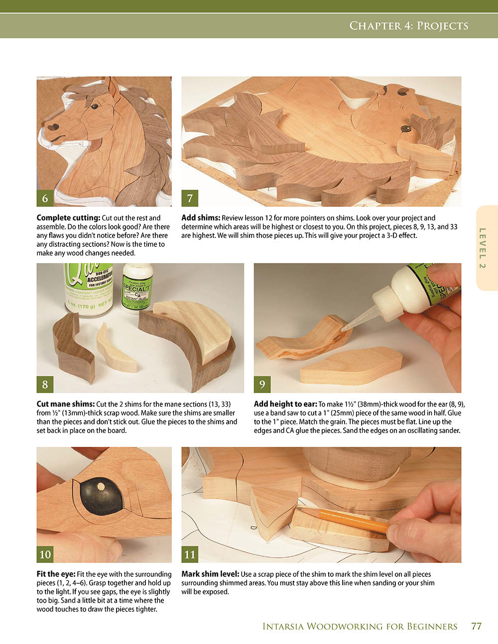 Intarsia Woodworking for Beginners