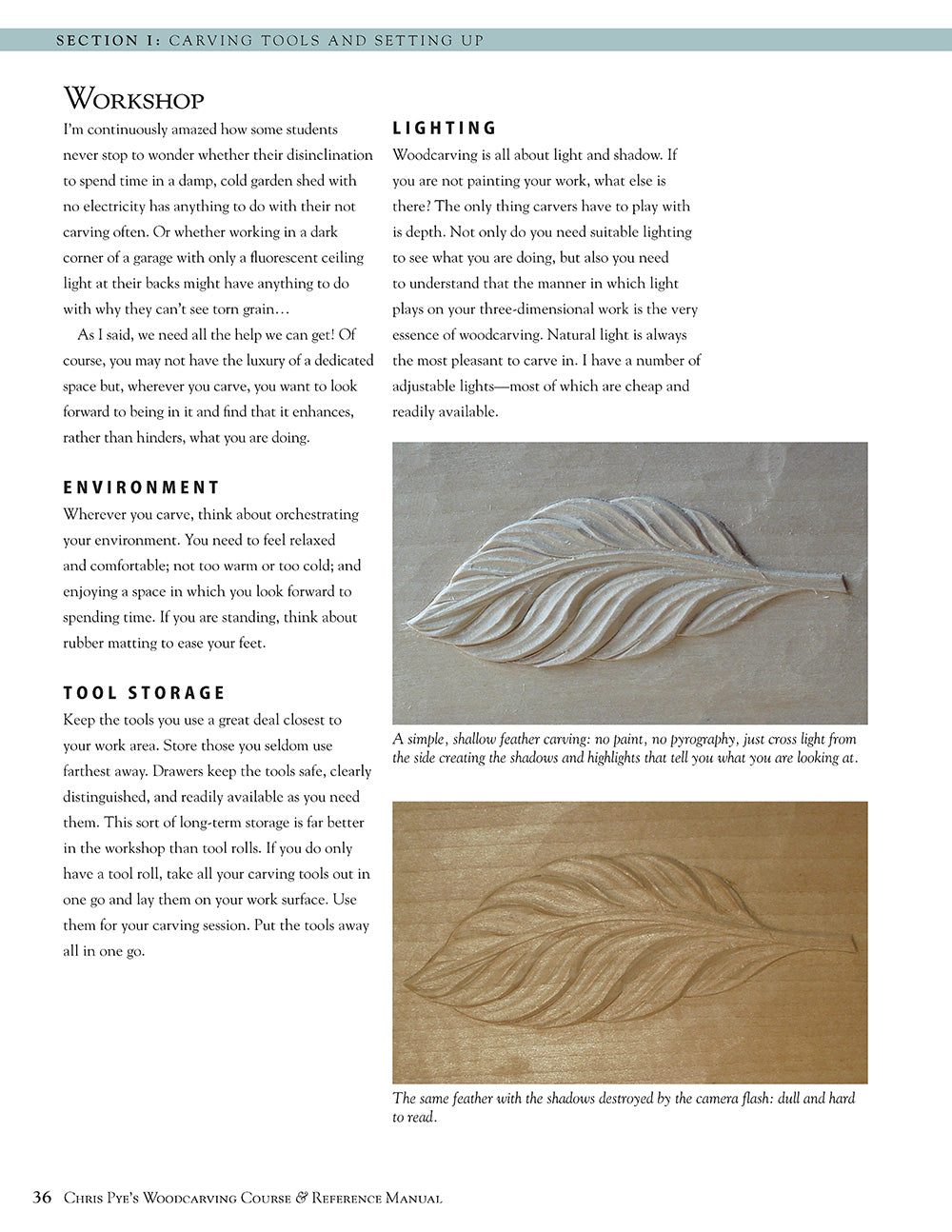 Chris Pyes Woodcarving Course & Reference Manual