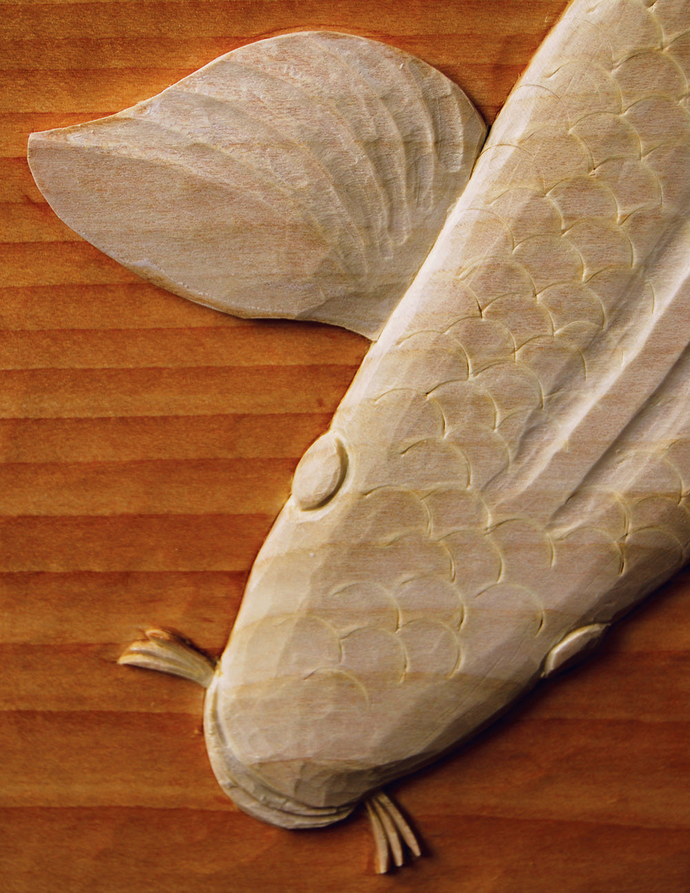 Chris Pyes Woodcarving Course & Reference Manual