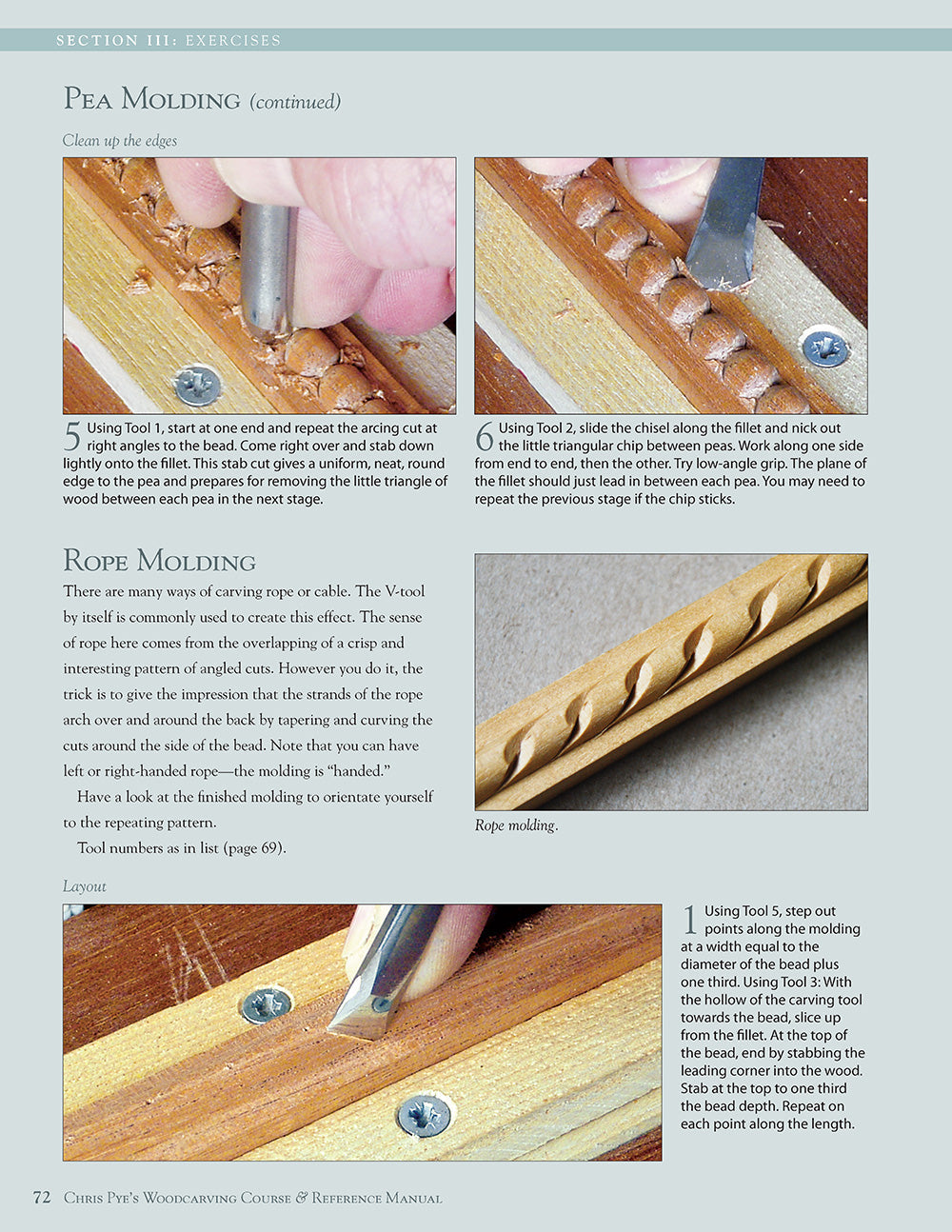 Chris Pyes Woodcarving Course & Reference Manual