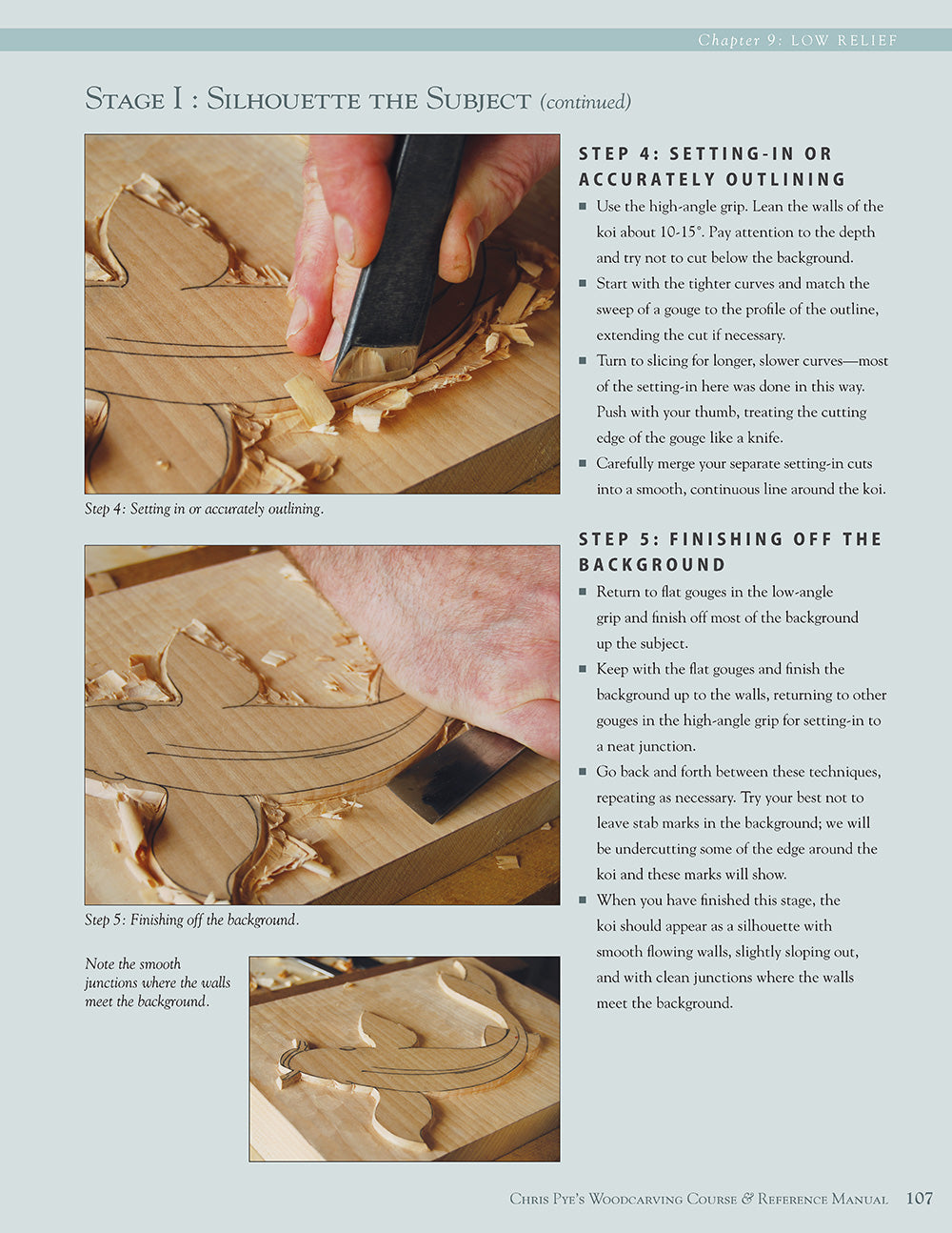 Chris Pyes Woodcarving Course & Reference Manual