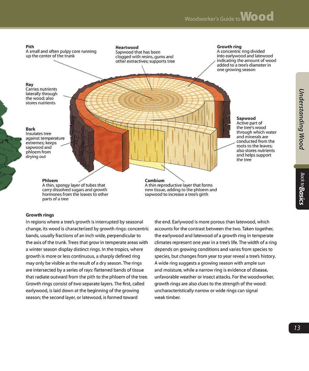 Woodworkers Guide to Wood (Back to Basics)