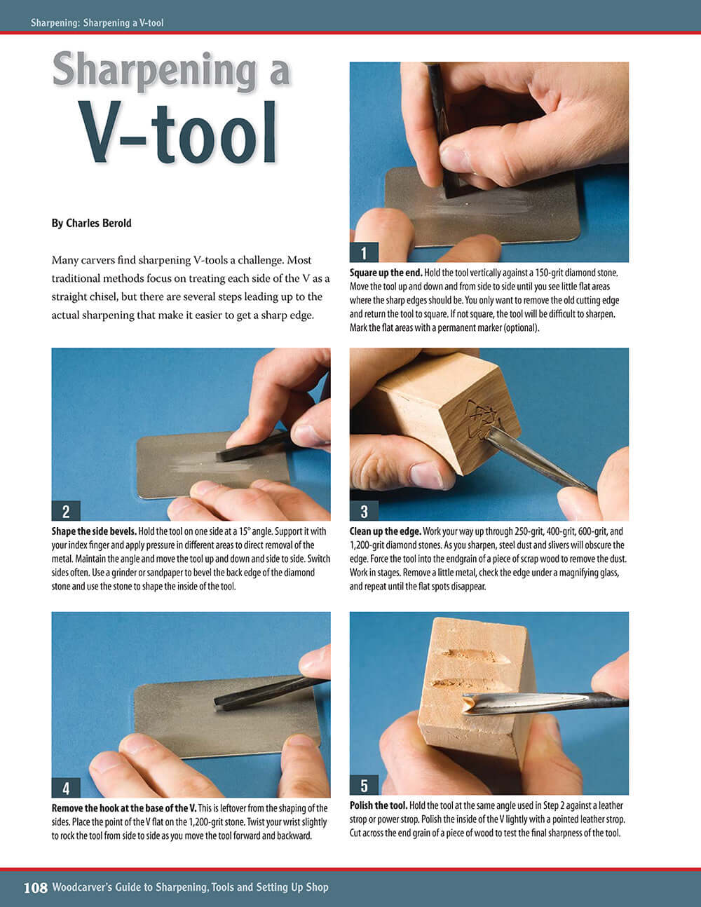 Woodcarvers Guide to Sharpening, Tools and Setting Up Shop (Best of WCI)