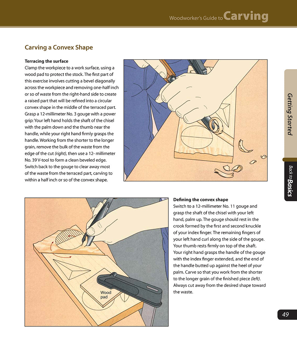 Woodworkers Guide to Carving (Back to Basics)