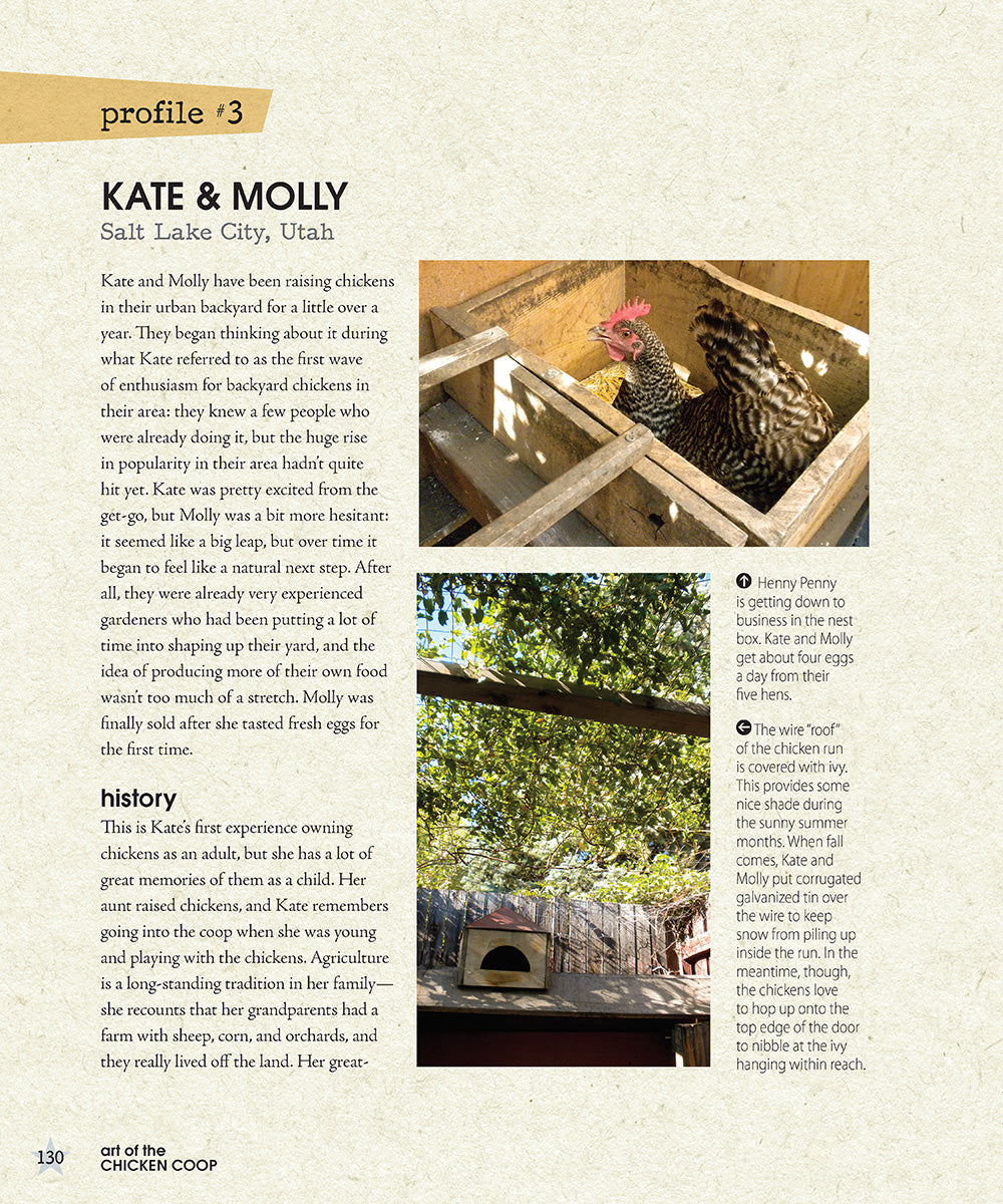 Art of the Chicken Coop