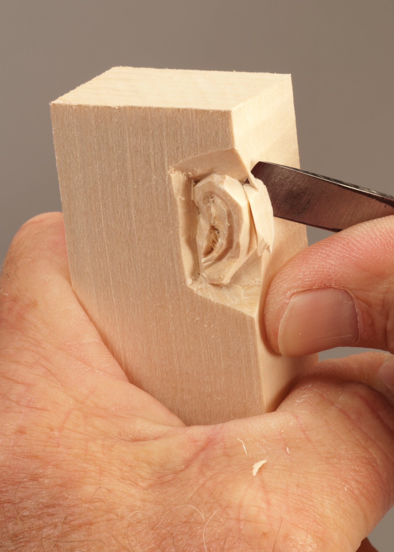Learn to Carve Faces: The Basic Ear (Booklet)