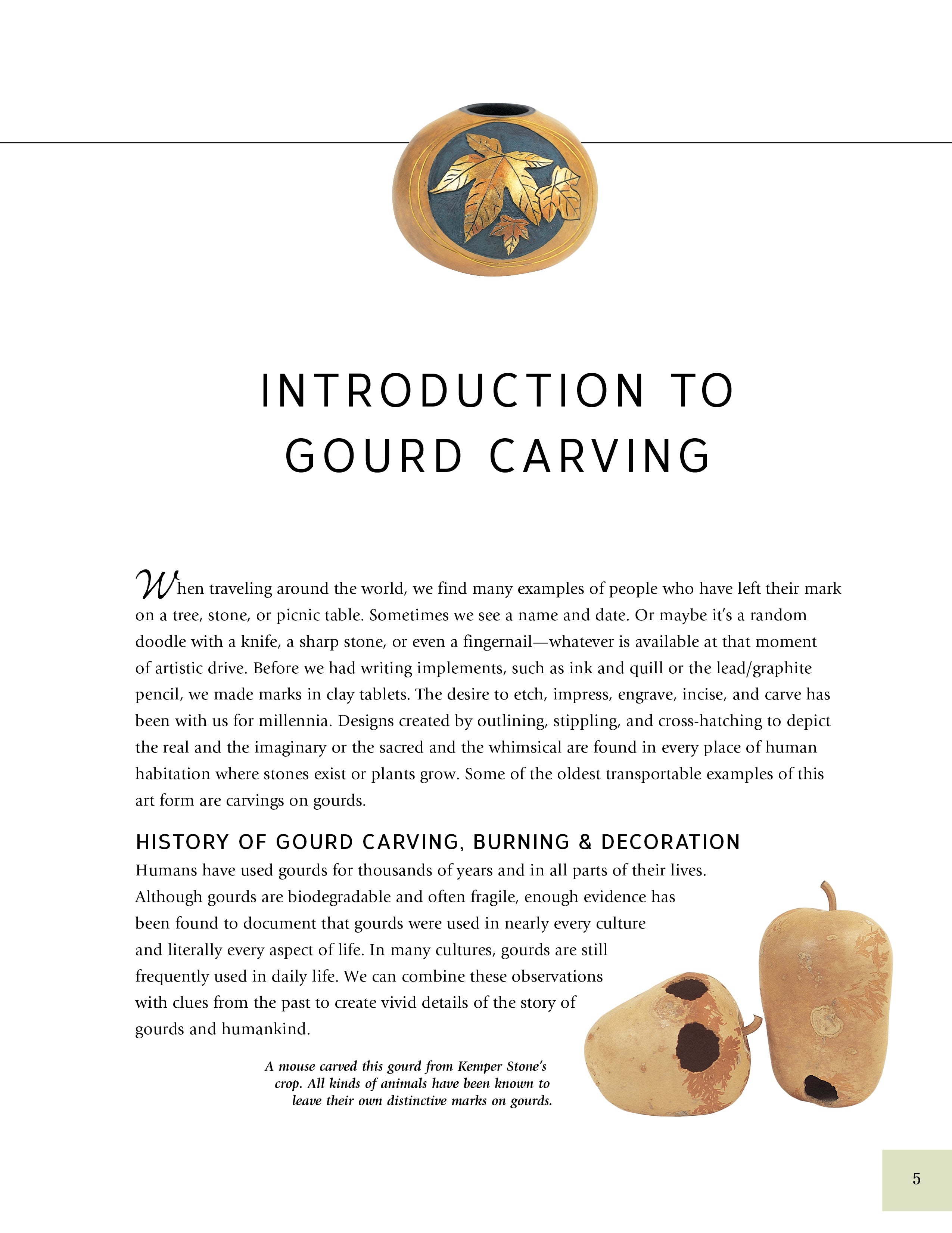 Complete Book of Gourd Carving, Revised & Expanded