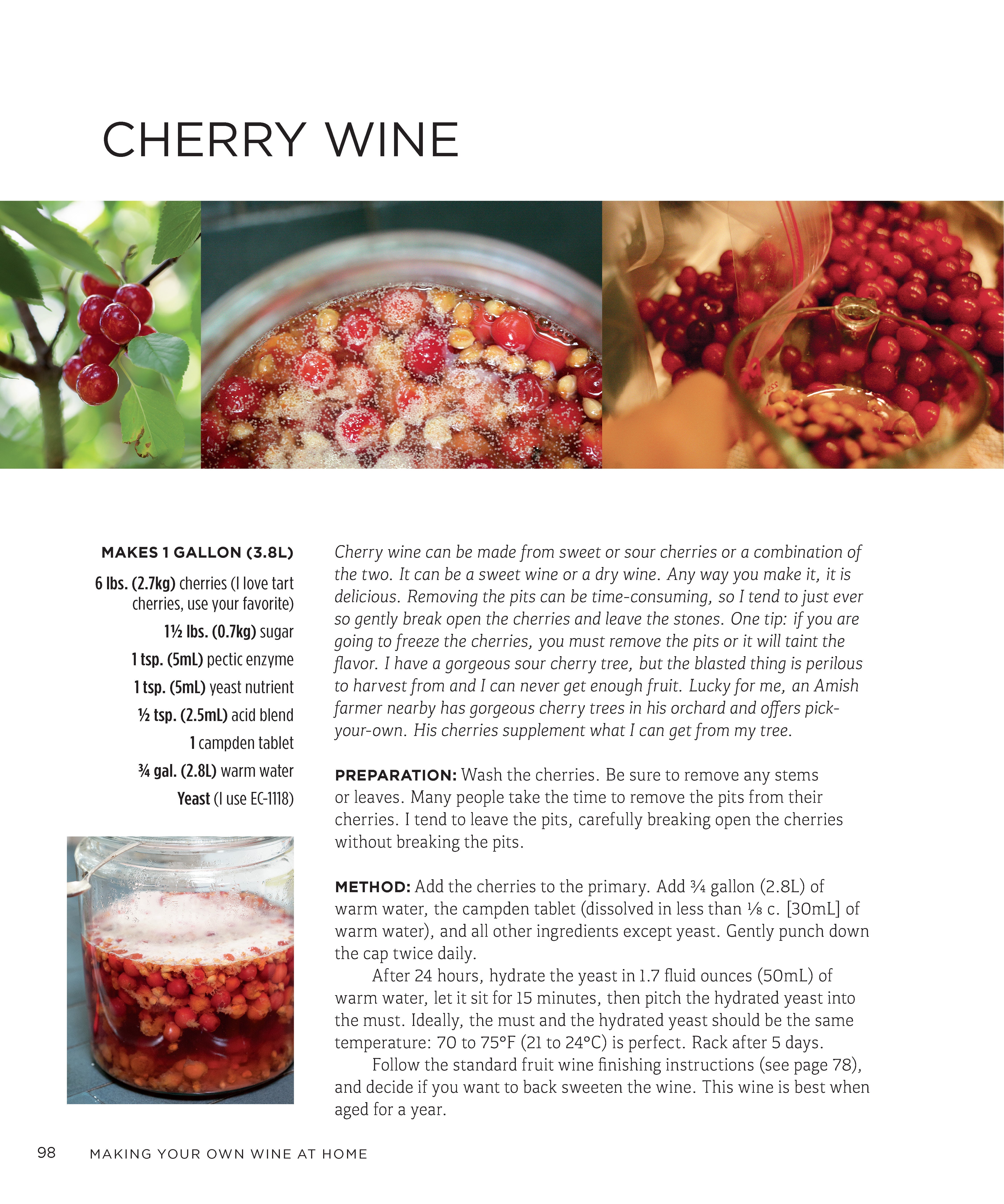 Making Your Own Wine at Home