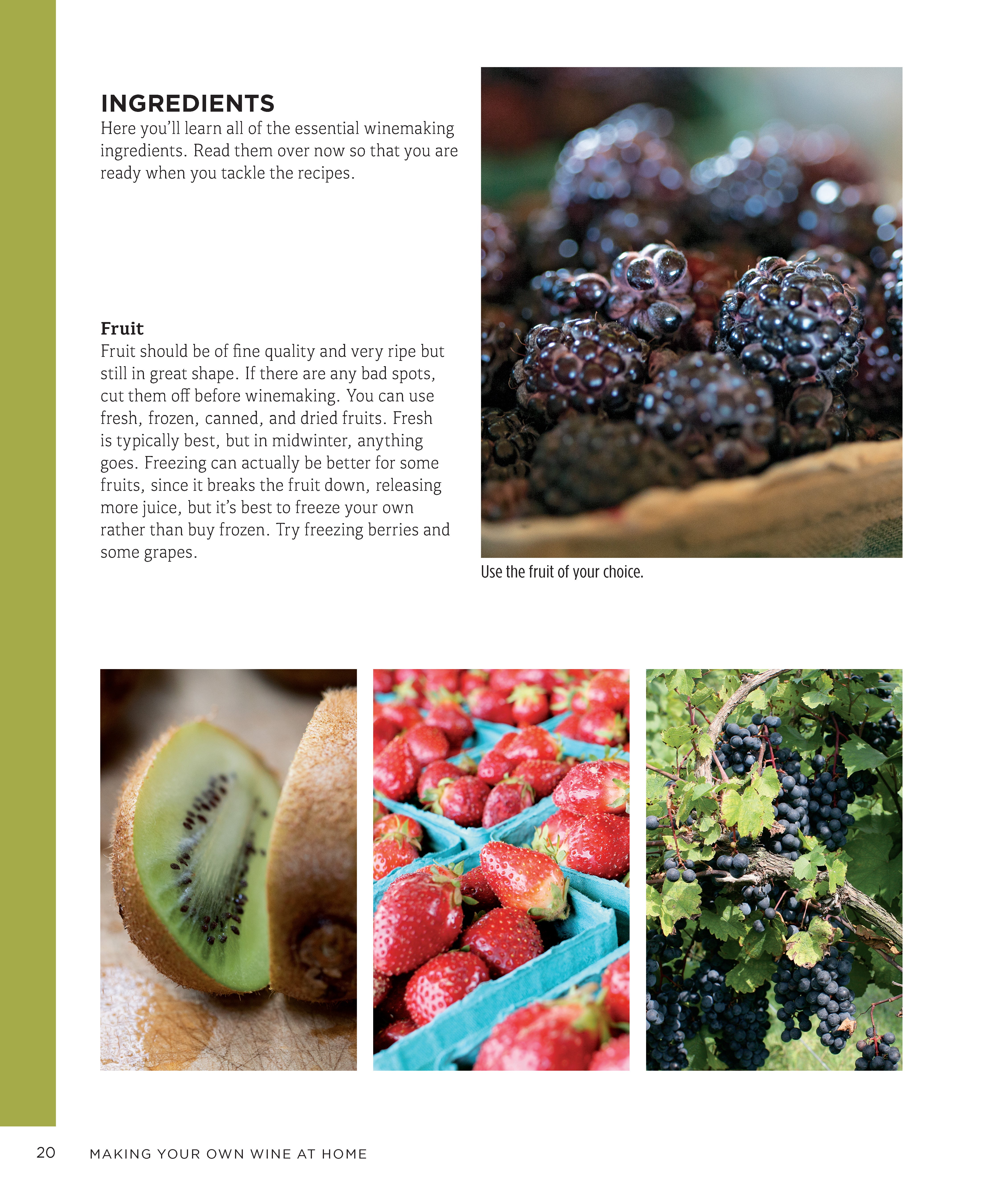 Making Your Own Wine at Home