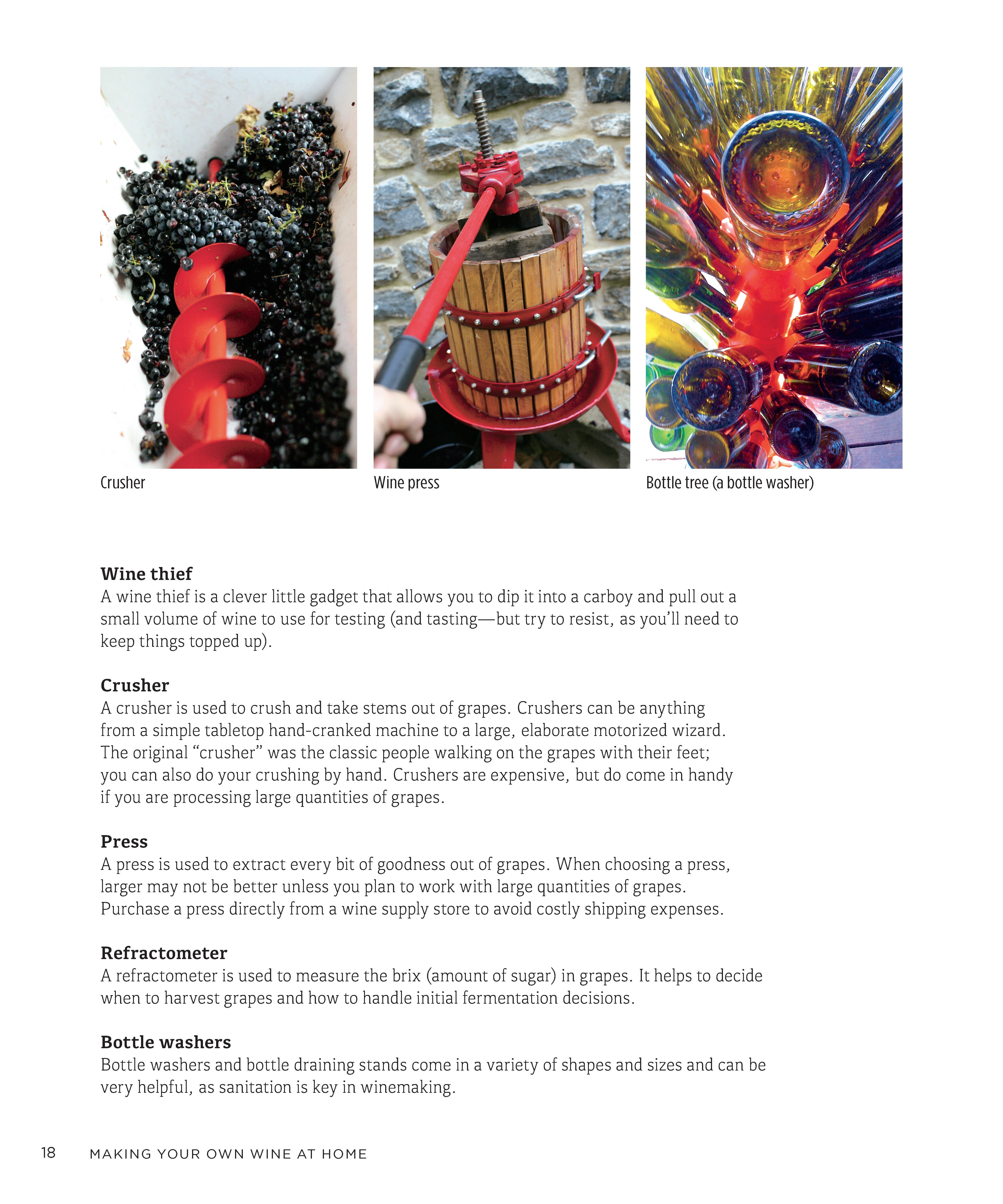 Making Your Own Wine at Home