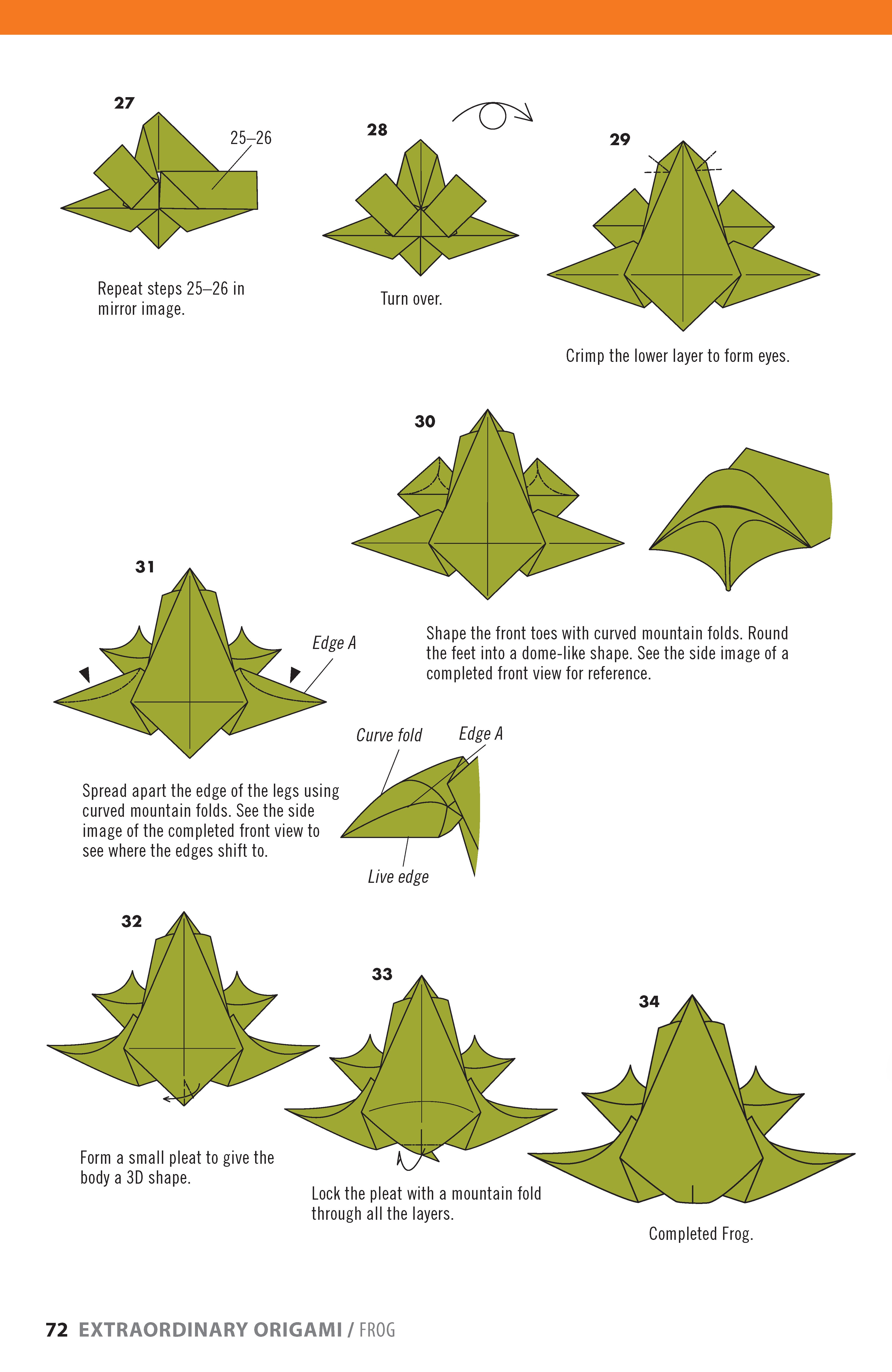 Extraordinary Origami