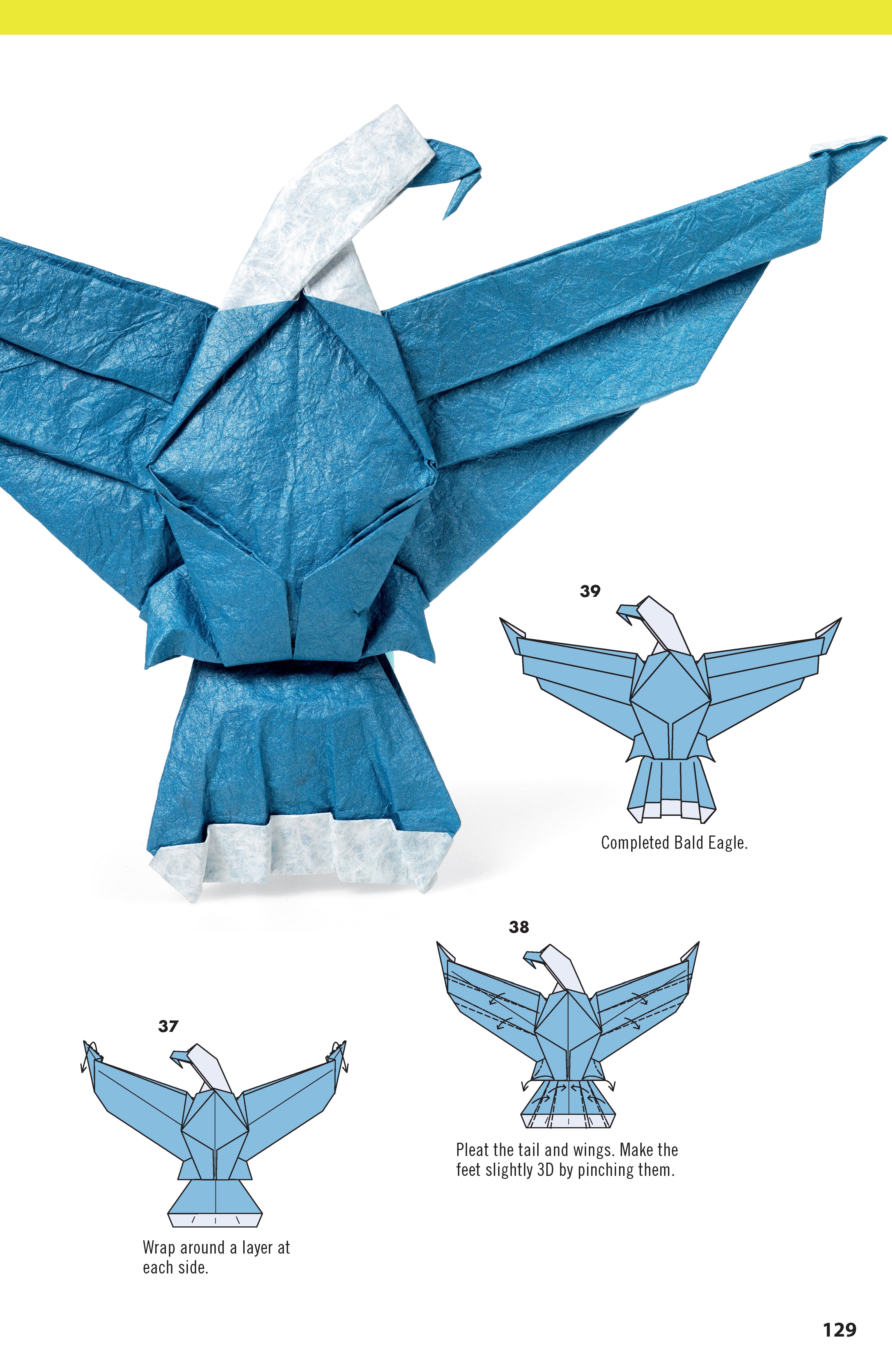 Extraordinary Origami