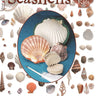 Best Of Seashells