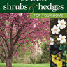 Trees, Shrubs & Hedges for Your Home