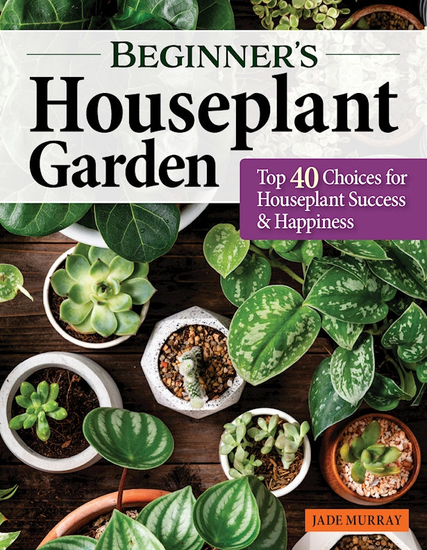 Beginners Houseplant Garden