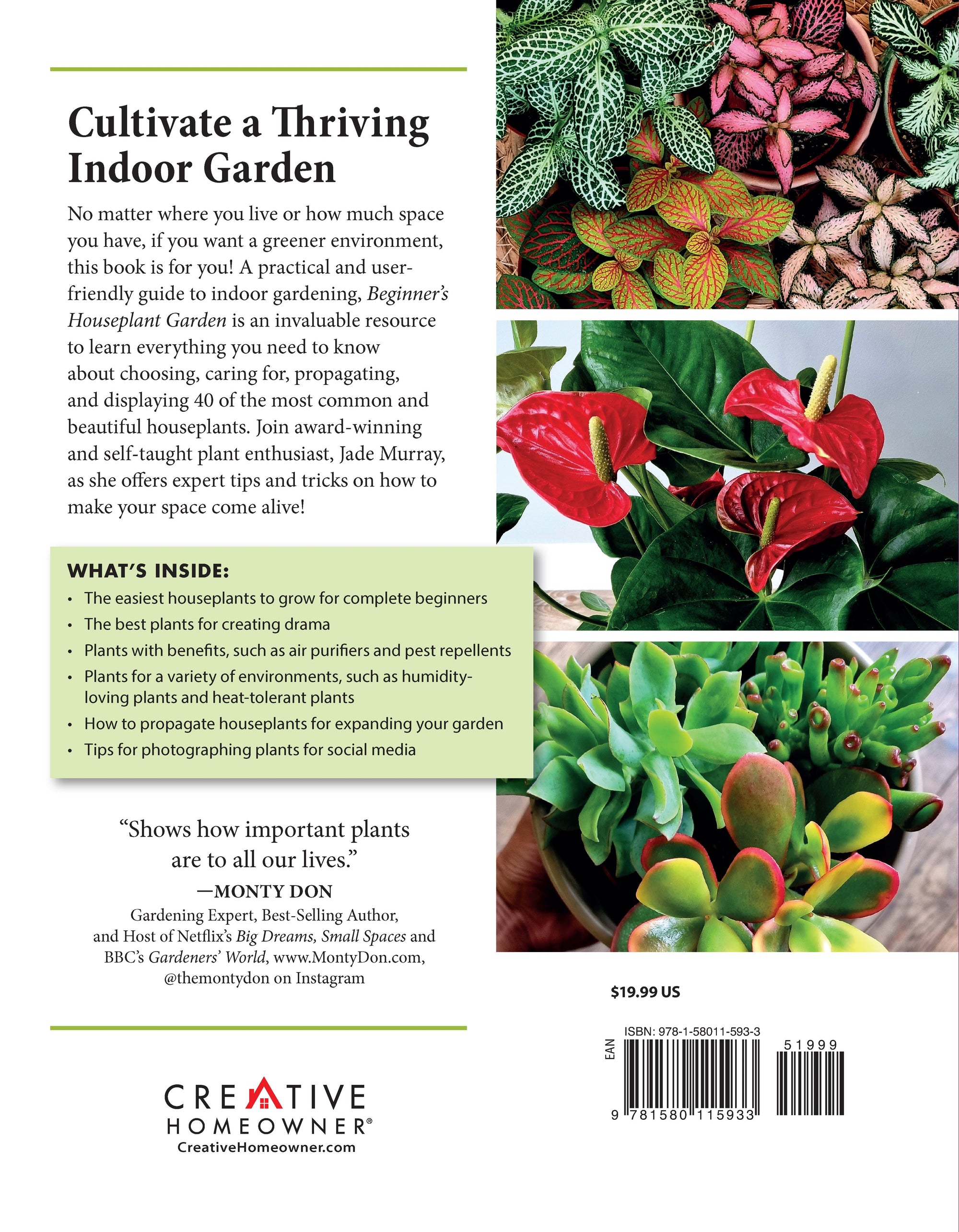 Beginners Houseplant Garden