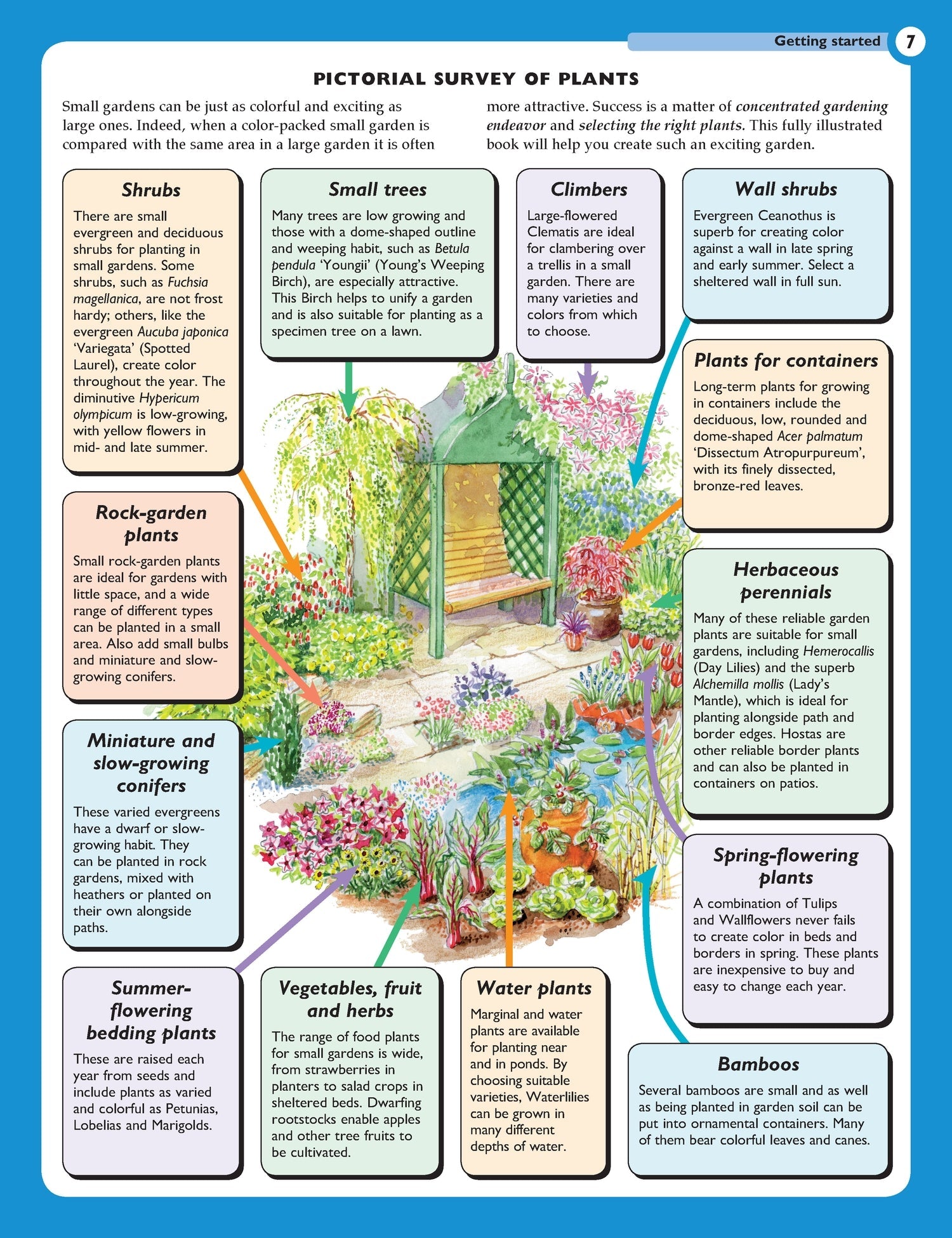 Home Gardeners Small Gardens