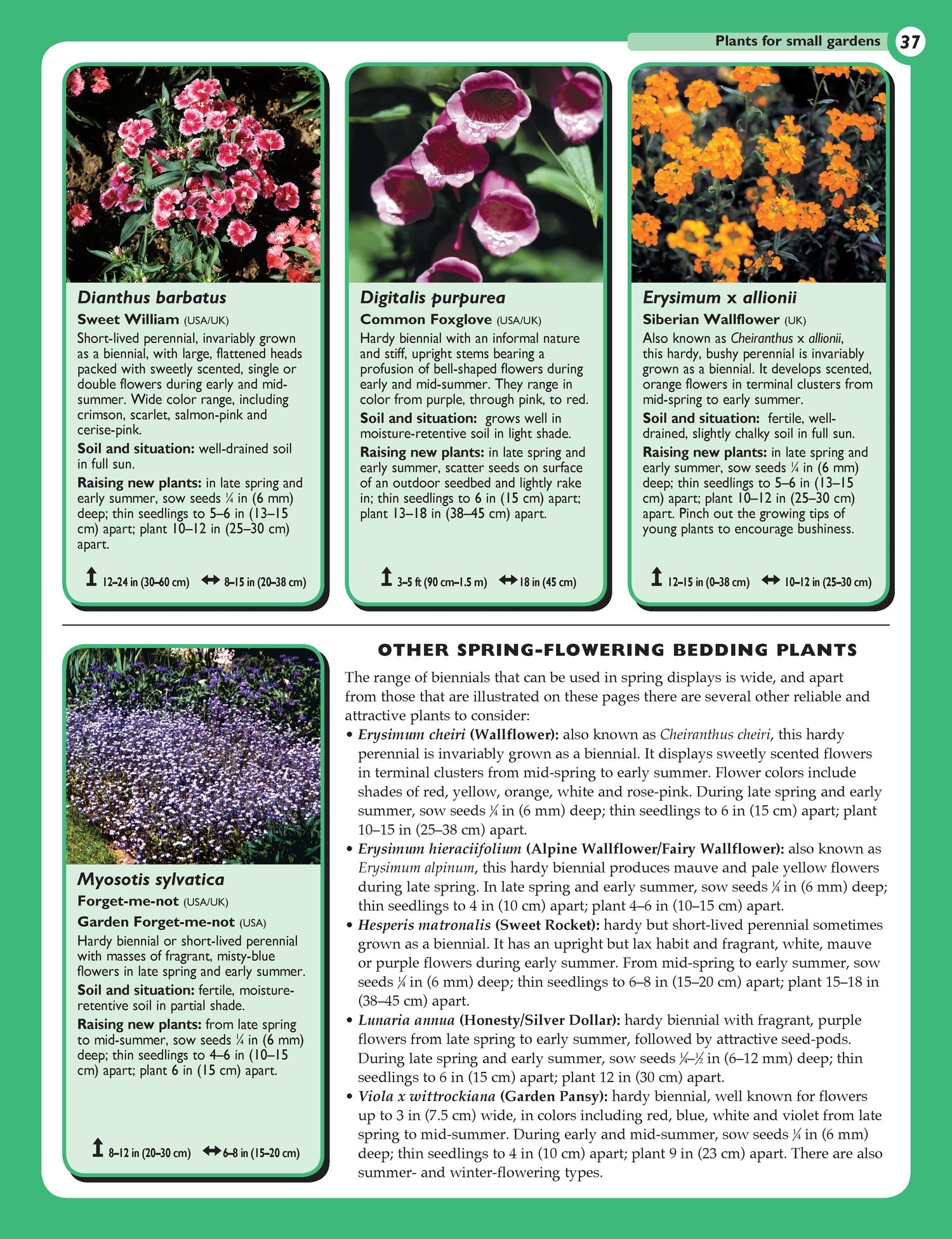 Home Gardeners Small Gardens
