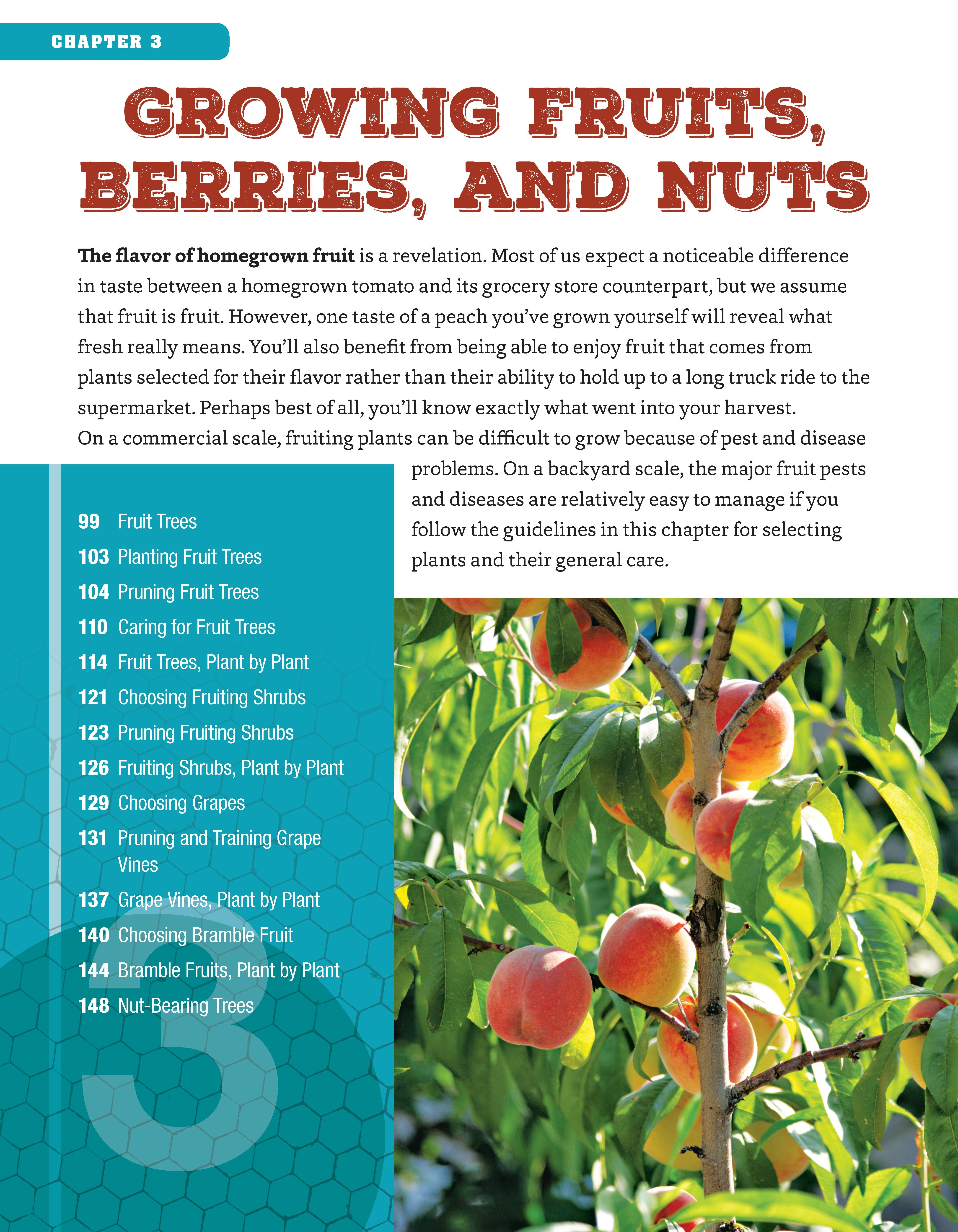 Backyard Homesteading, Second Revised Edition