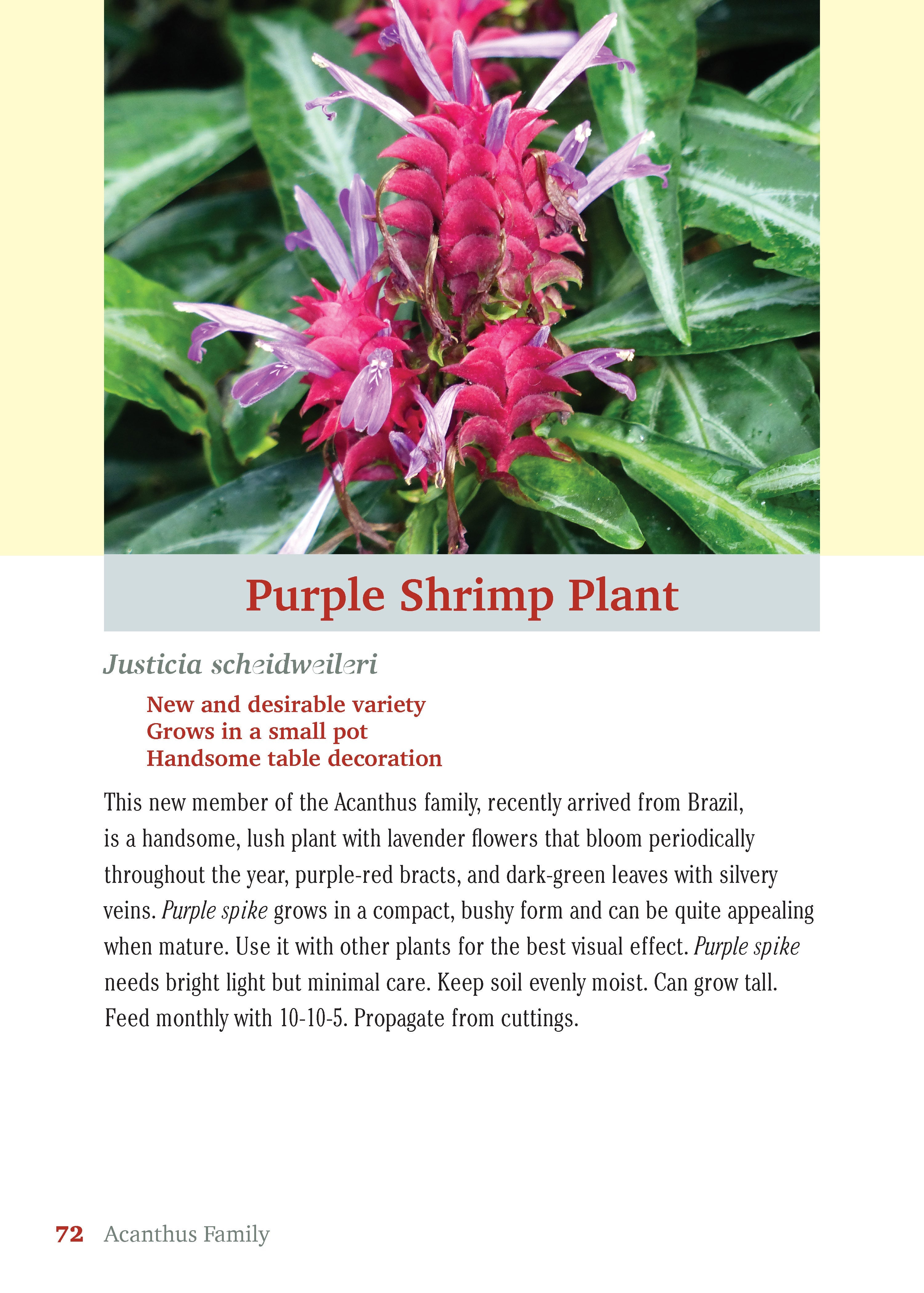 Pocket Guide to Houseplants