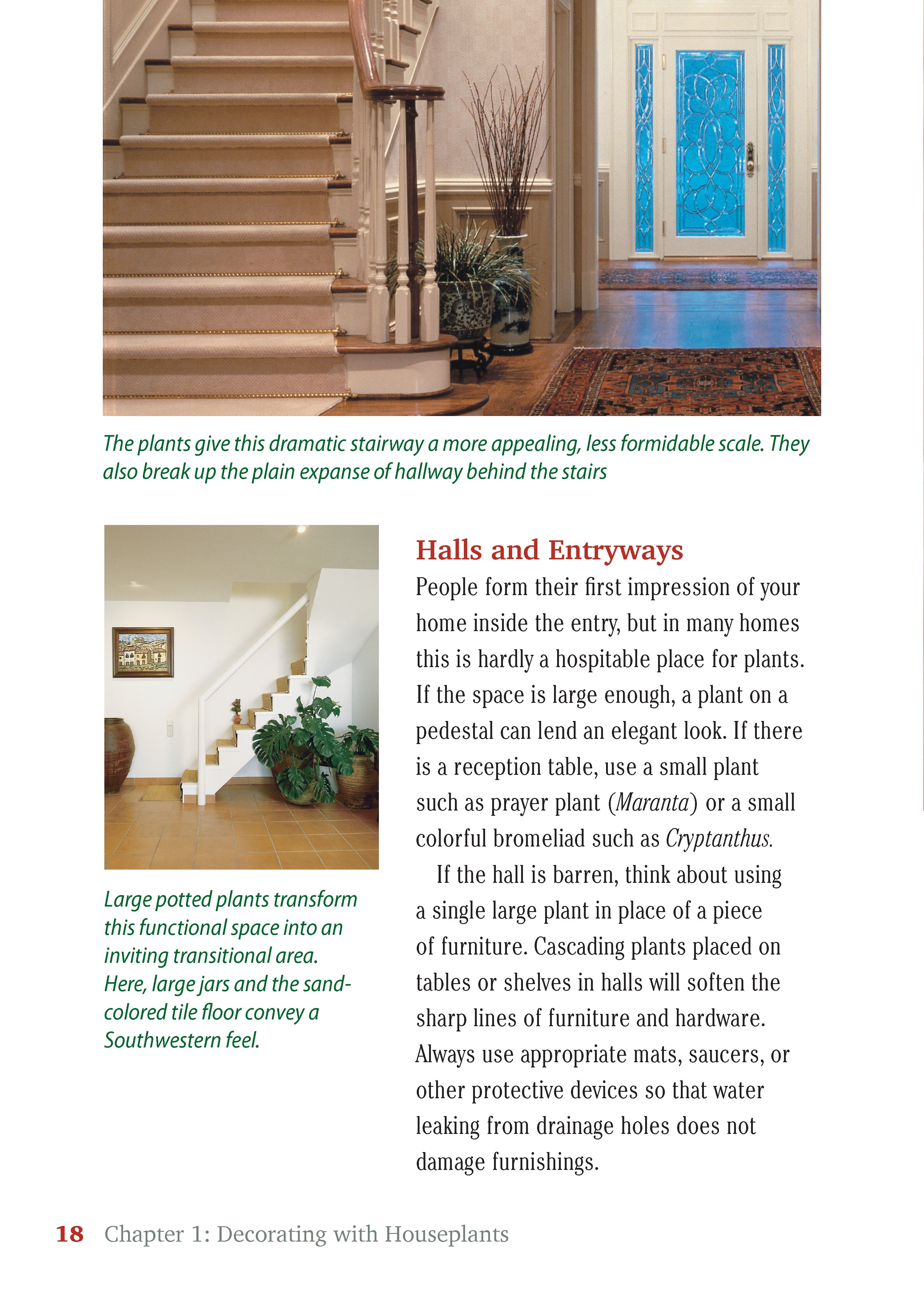 Pocket Guide to Houseplants