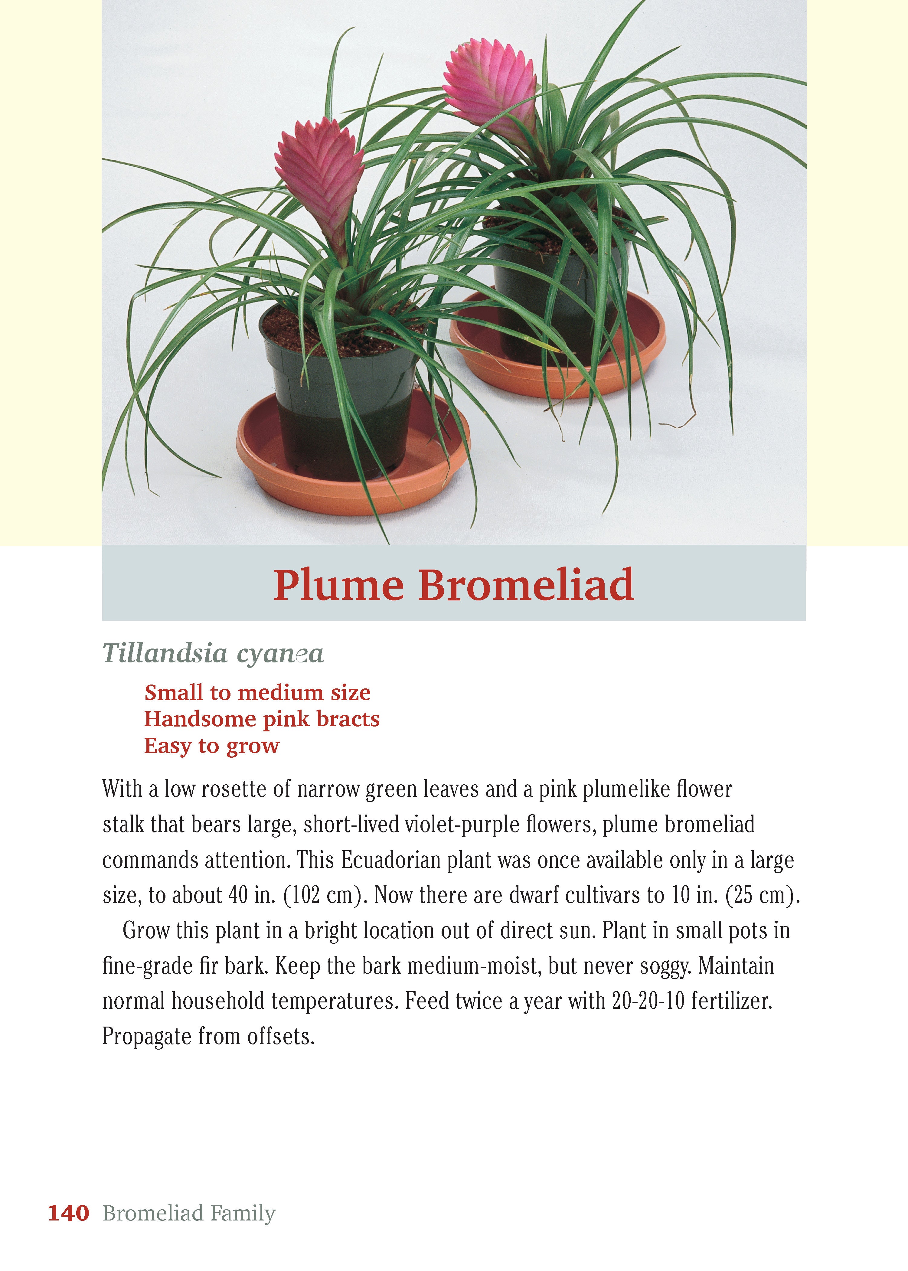 Pocket Guide to Houseplants