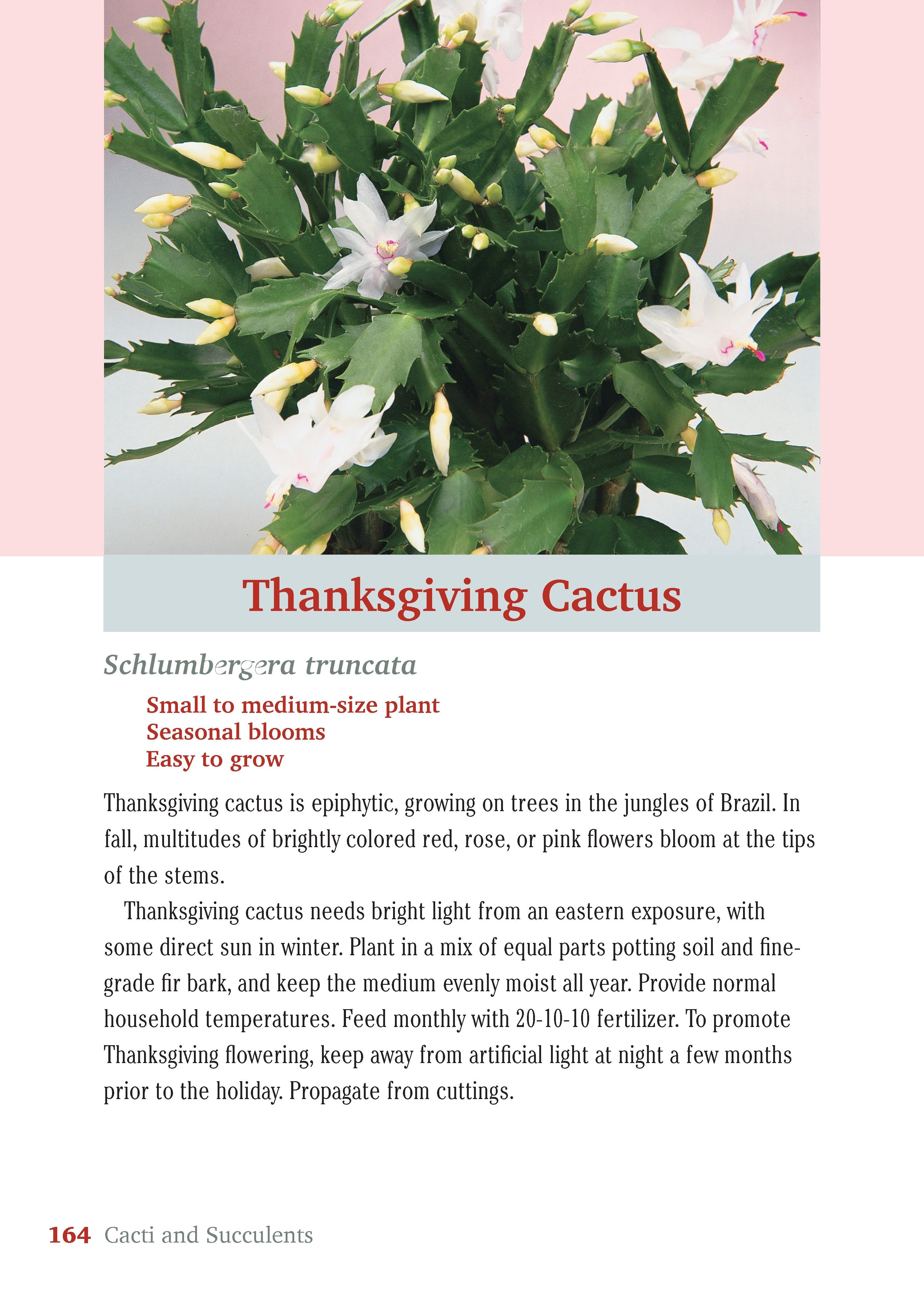 Pocket Guide to Houseplants