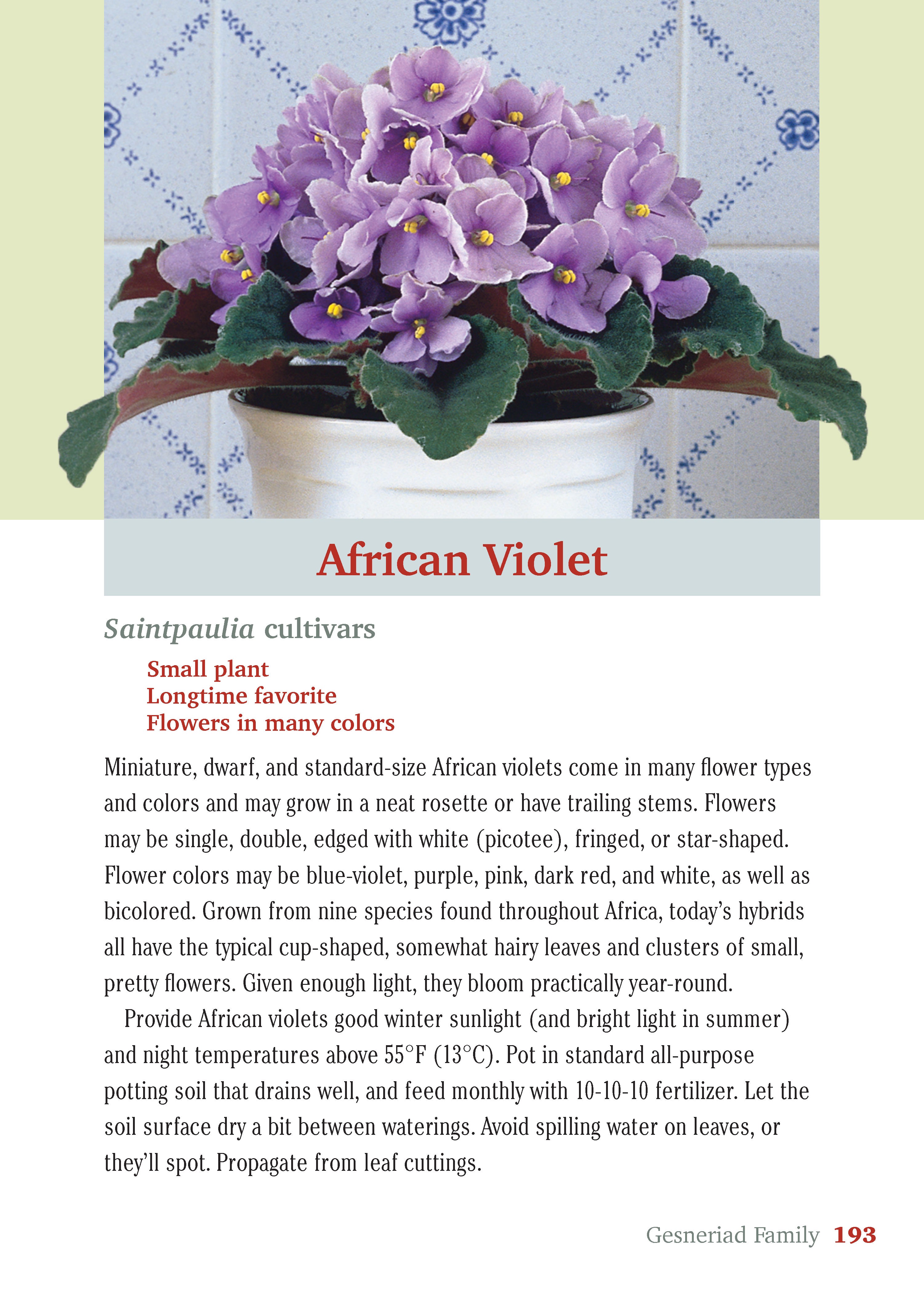 Pocket Guide to Houseplants