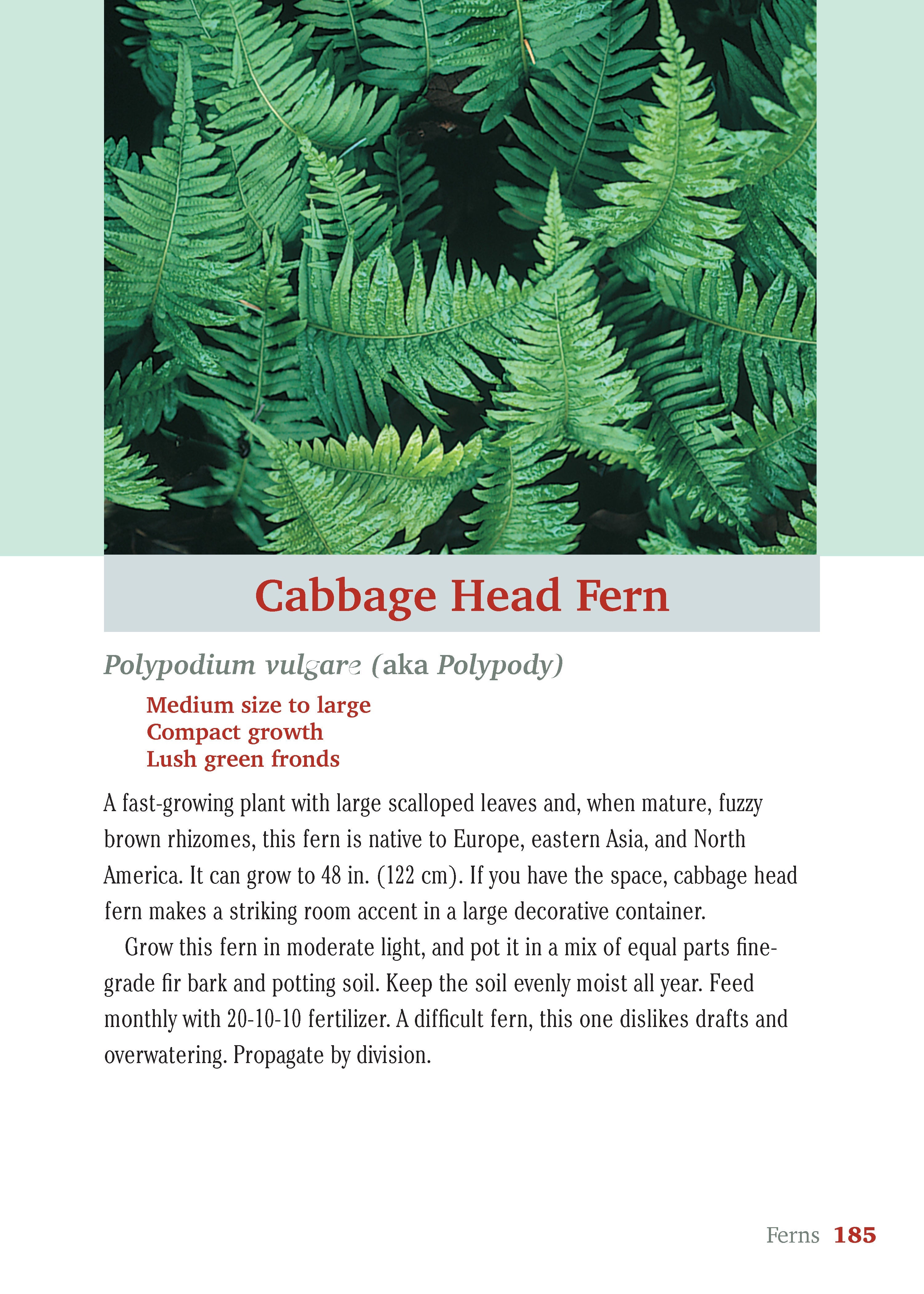 Pocket Guide to Houseplants