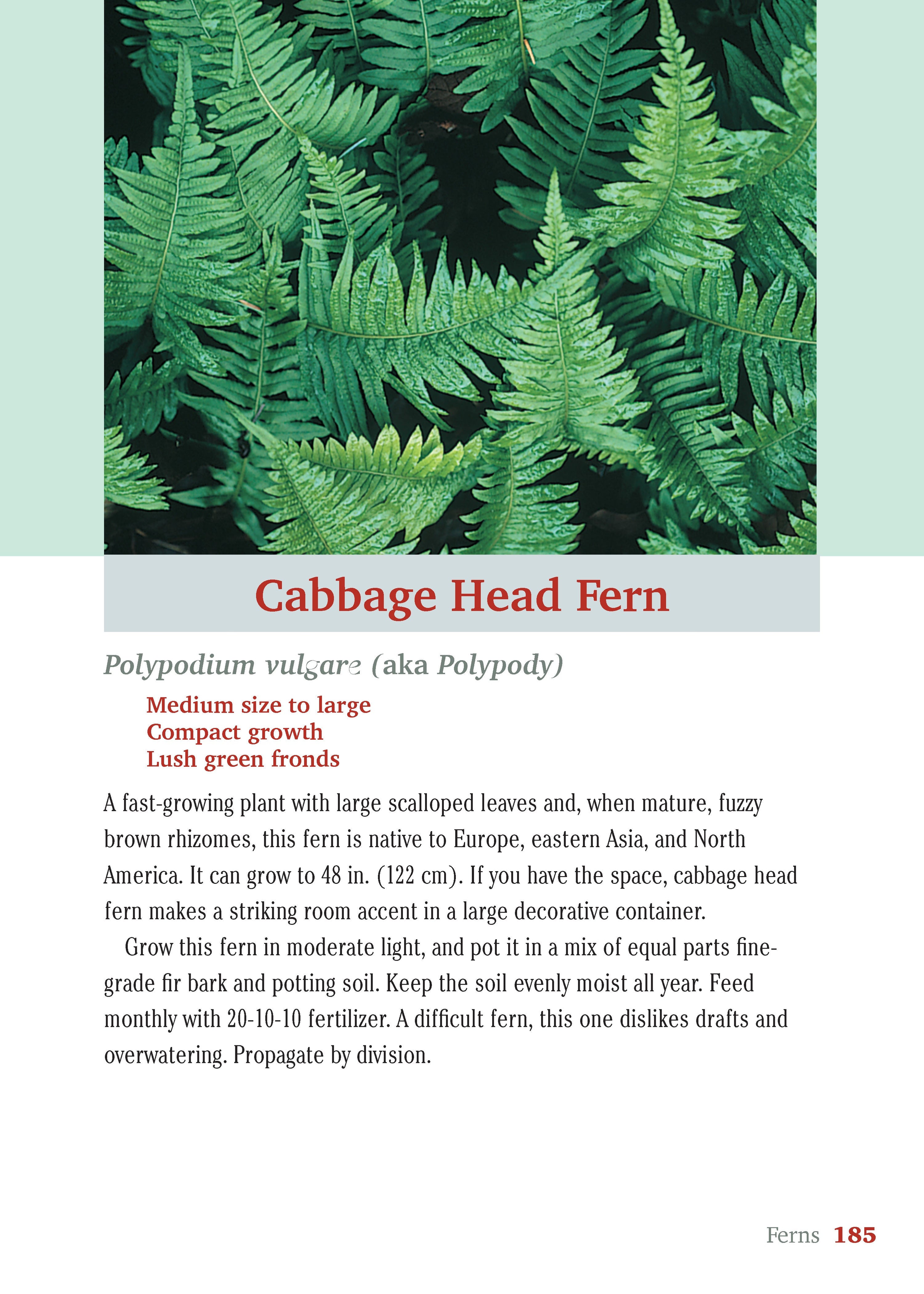 Pocket Guide to Houseplants