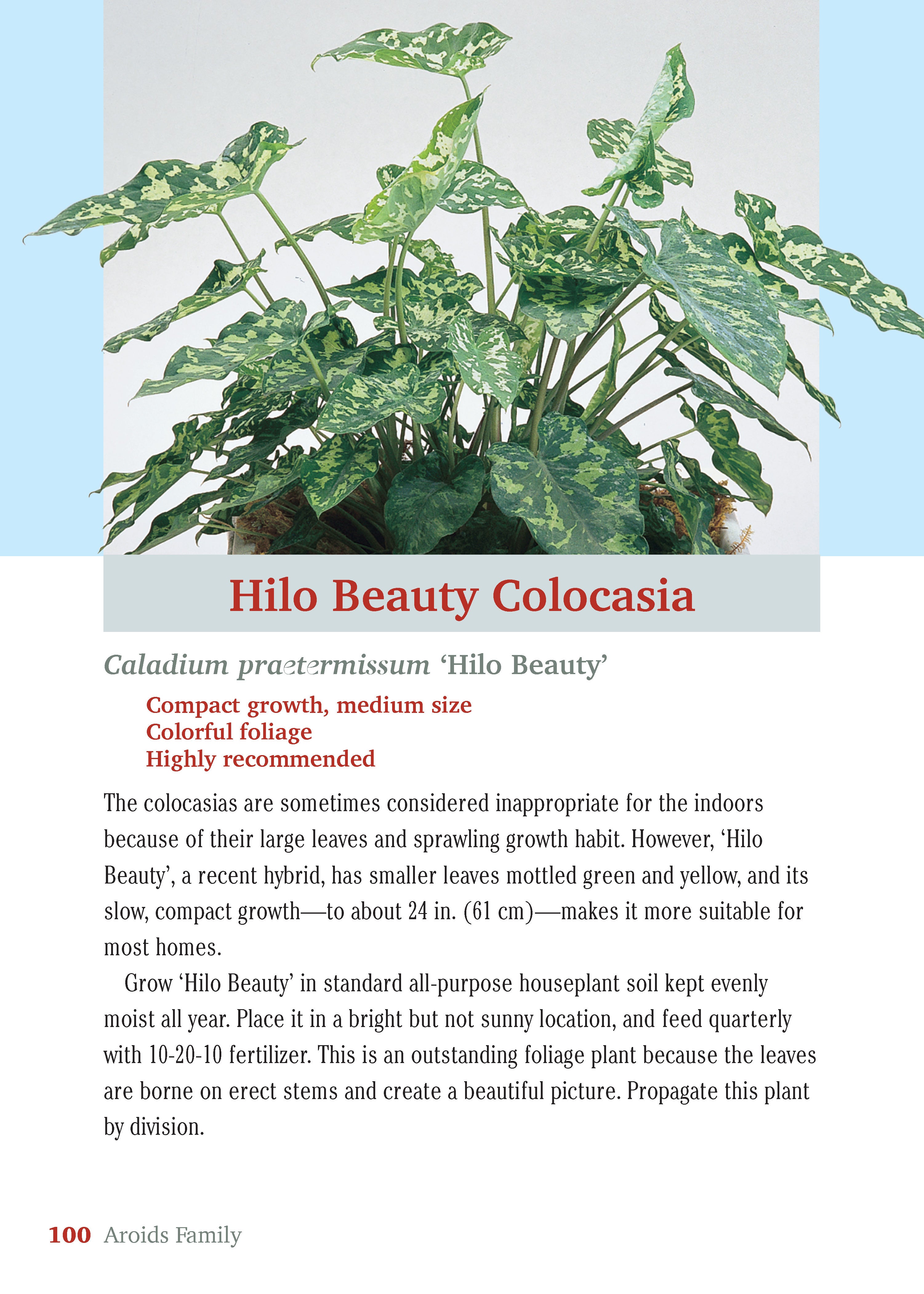 Pocket Guide to Houseplants