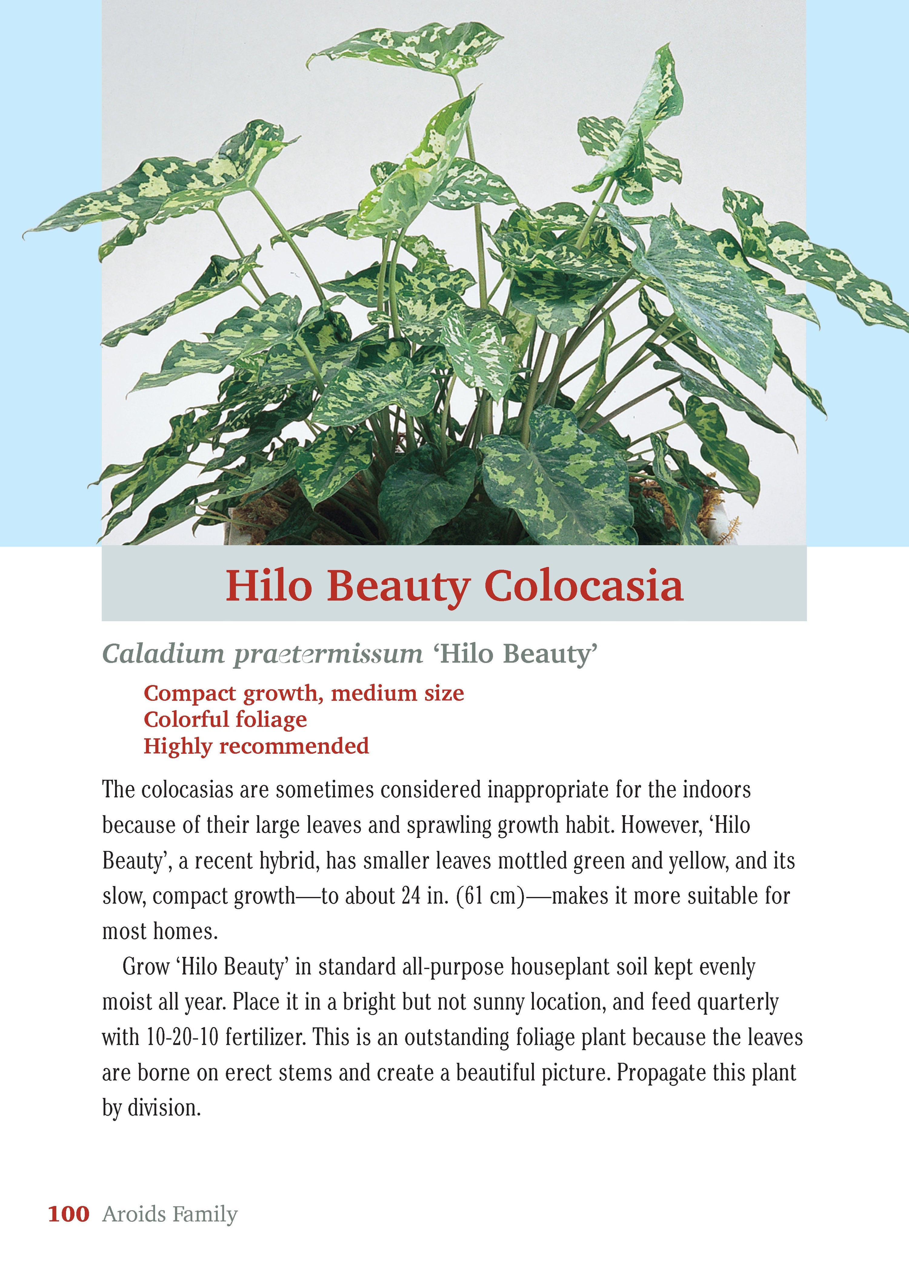 Pocket Guide to Houseplants