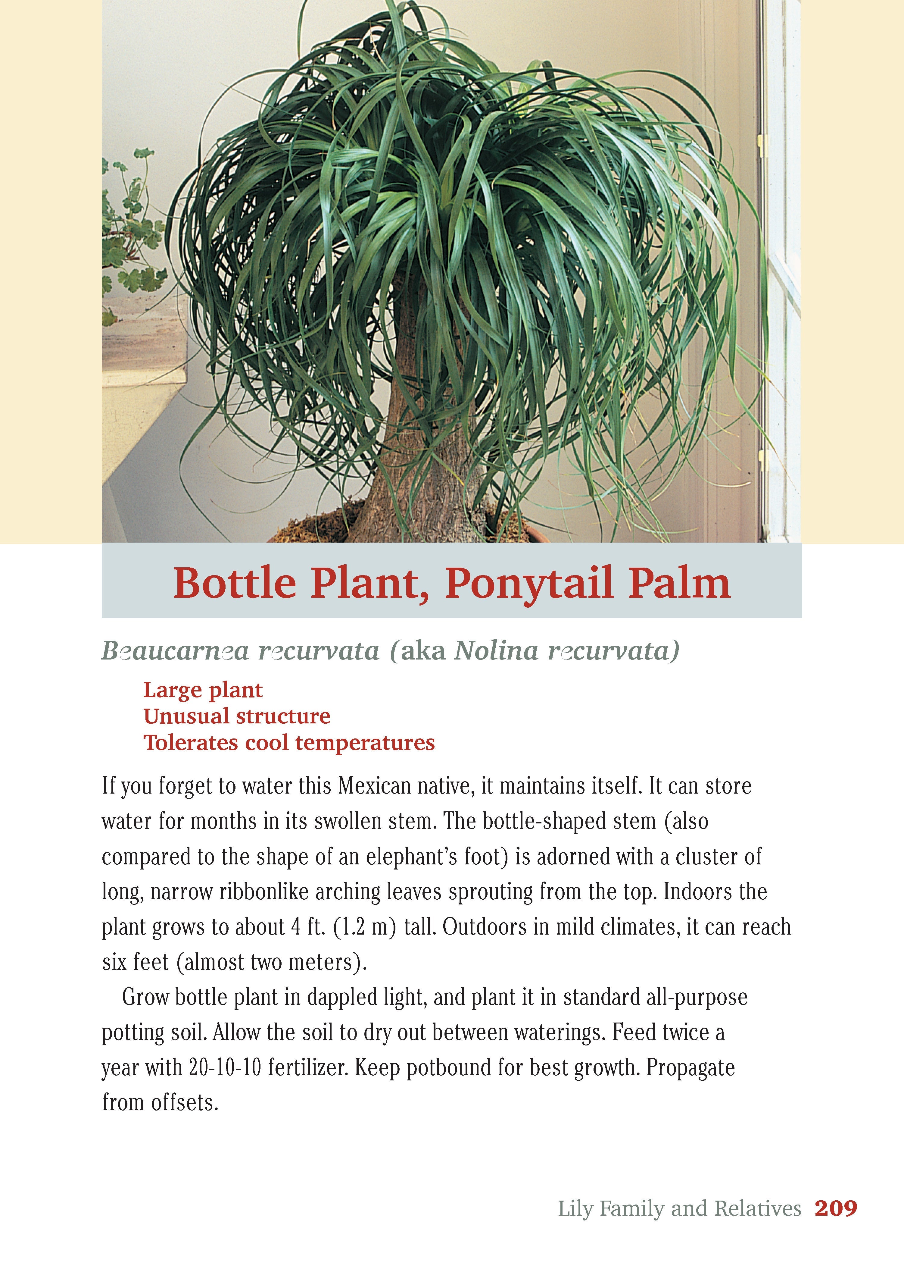 Pocket Guide to Houseplants