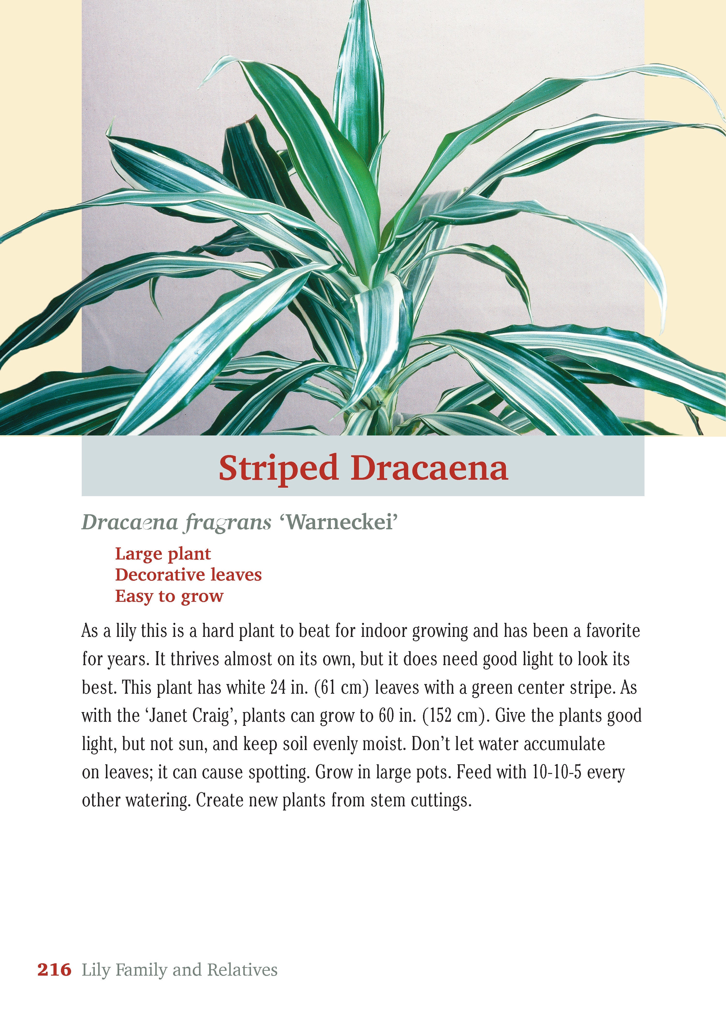 Pocket Guide to Houseplants