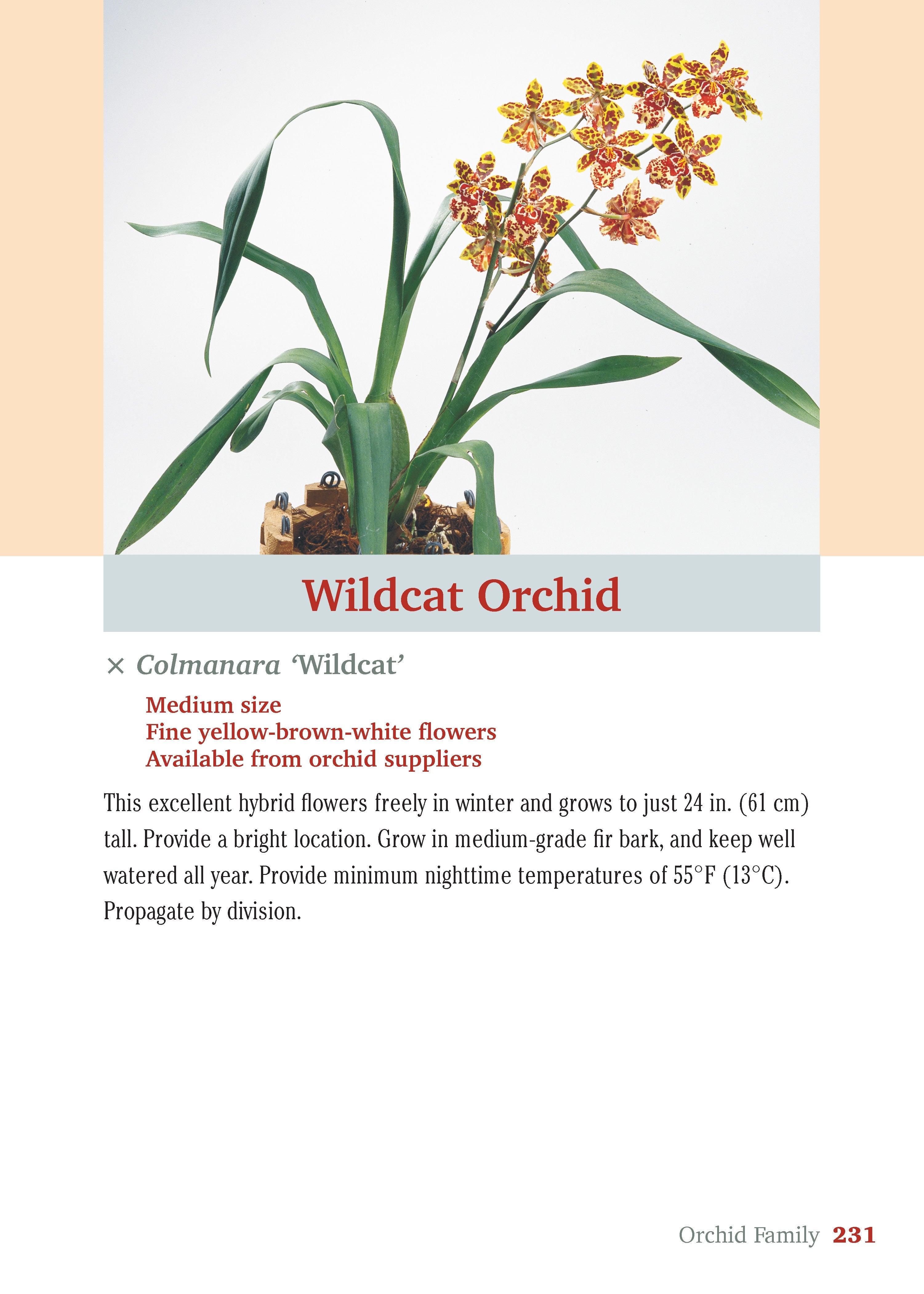 Pocket Guide to Houseplants