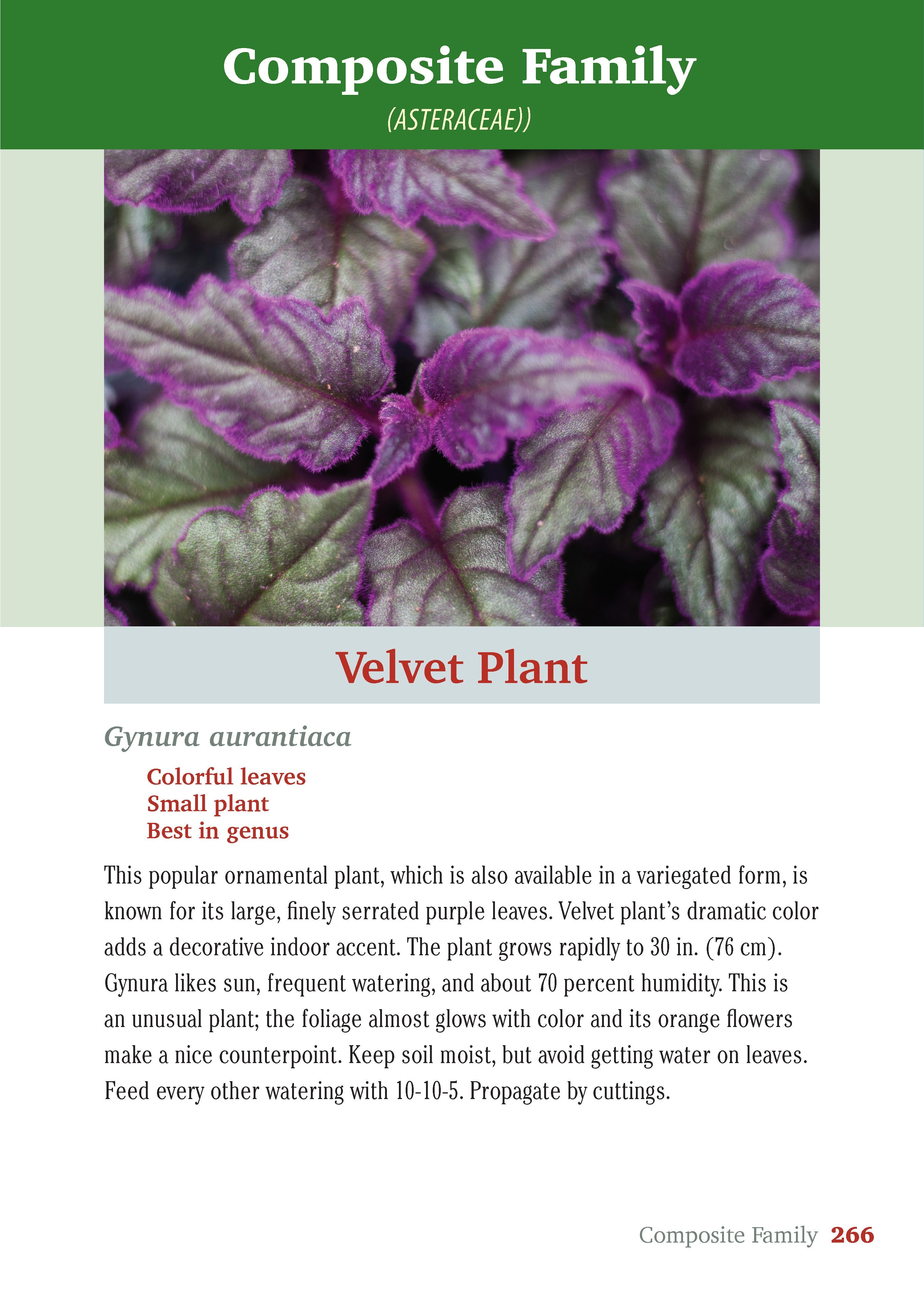 Pocket Guide to Houseplants