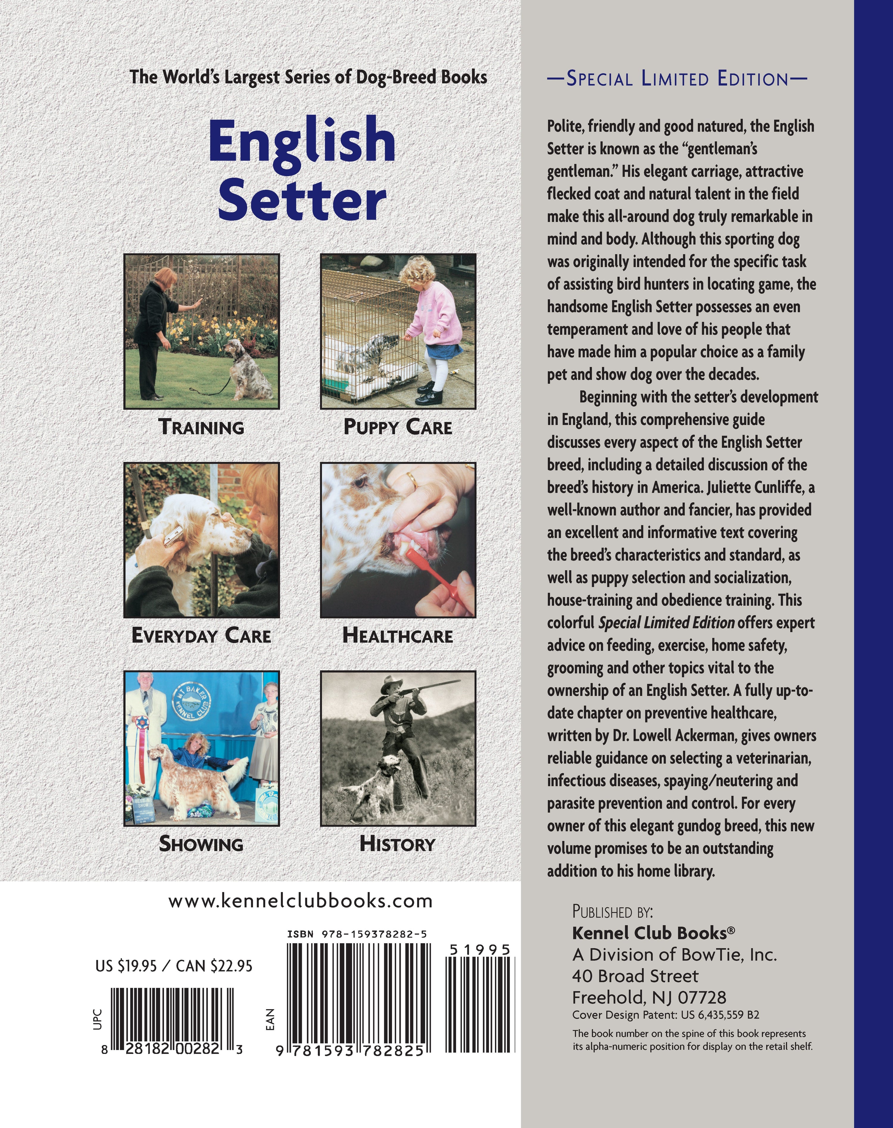 English Setter