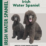 Irish Water Spaniel