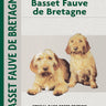 Basset Fauve De Bretagne
