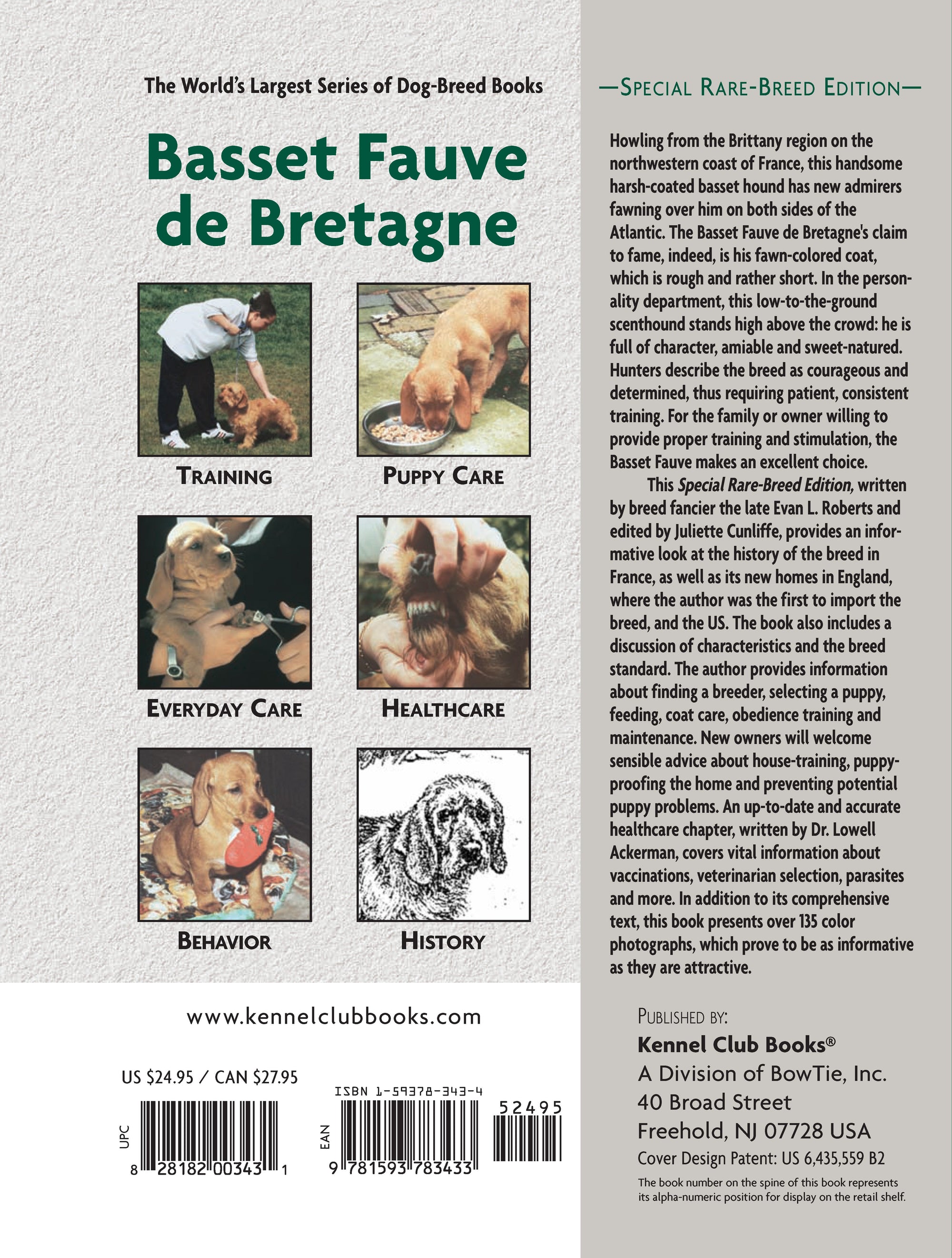 Basset Fauve De Bretagne