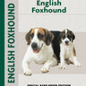 English Foxhound