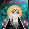 Cockapoo