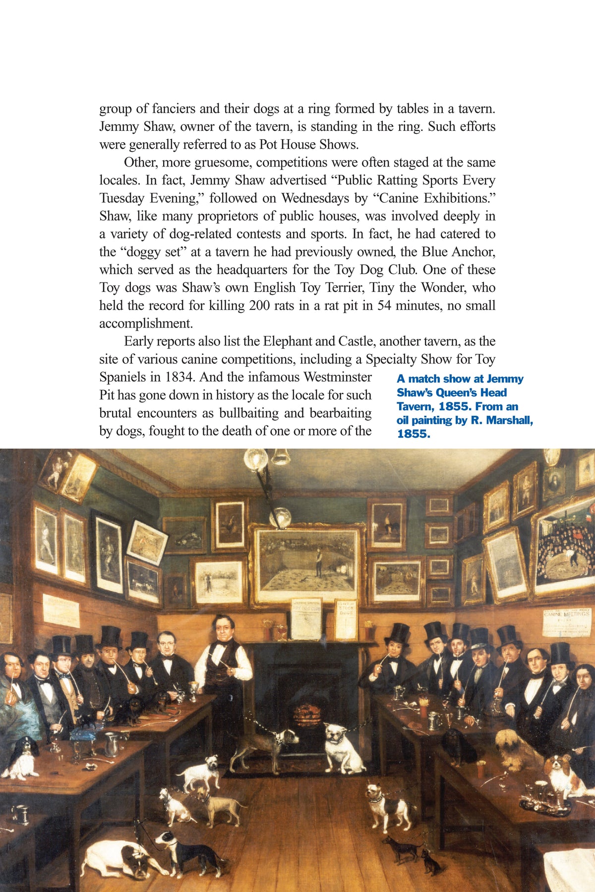Inside Dogs – Hardback, ISBN 9781593786489