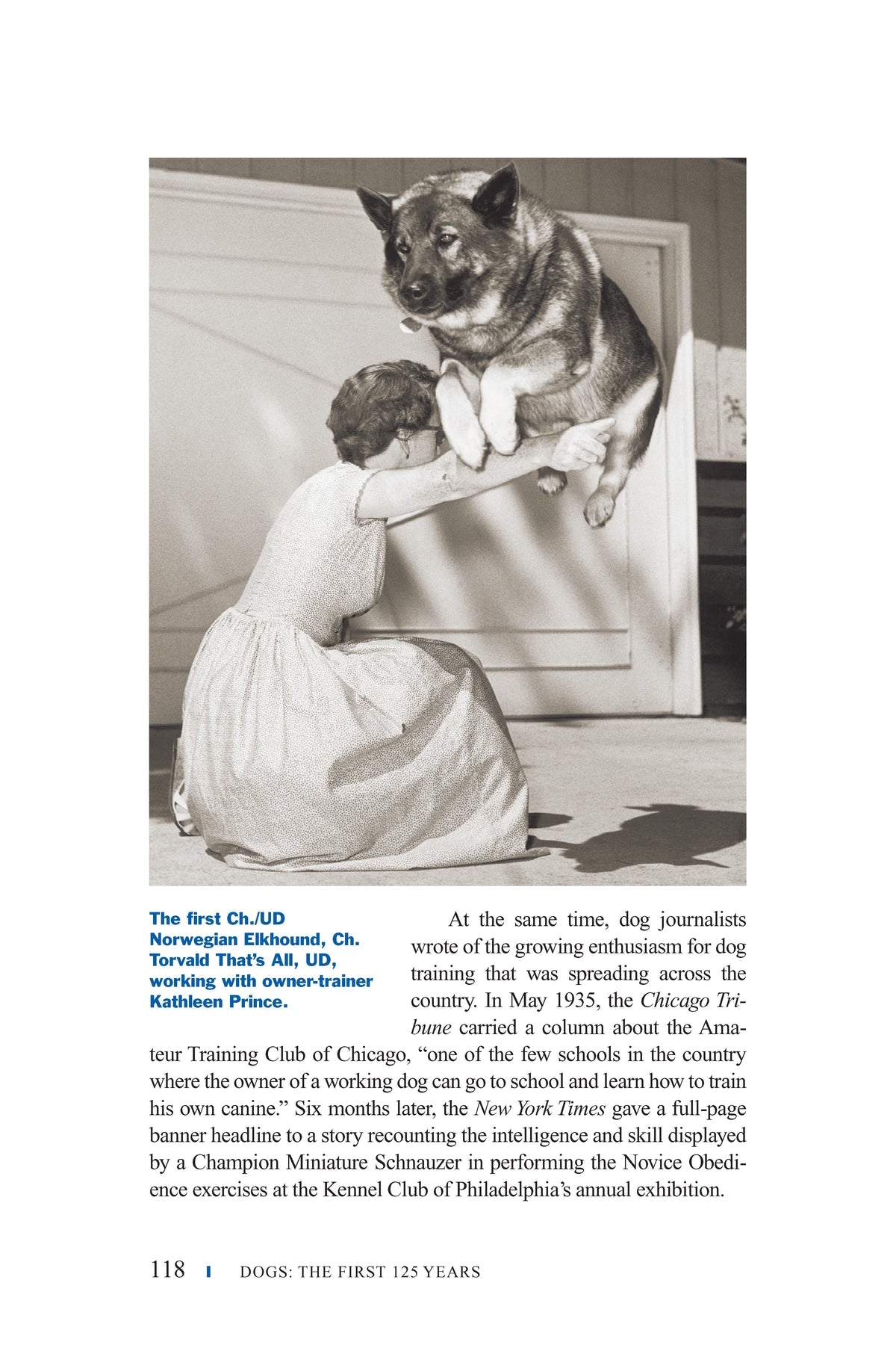 Inside Dogs – Hardback, ISBN 9781593786489